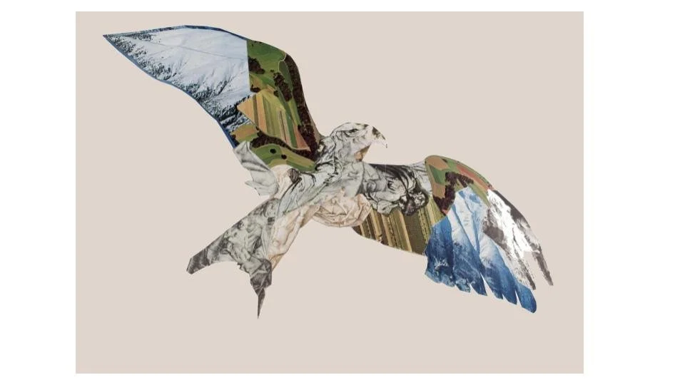 Aves Endangered Birds of the World Collage — Alan Sonfist