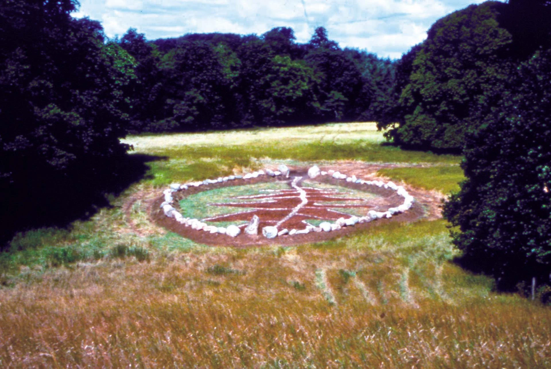 Endangered Trees of Denmark — Alan Sonfist