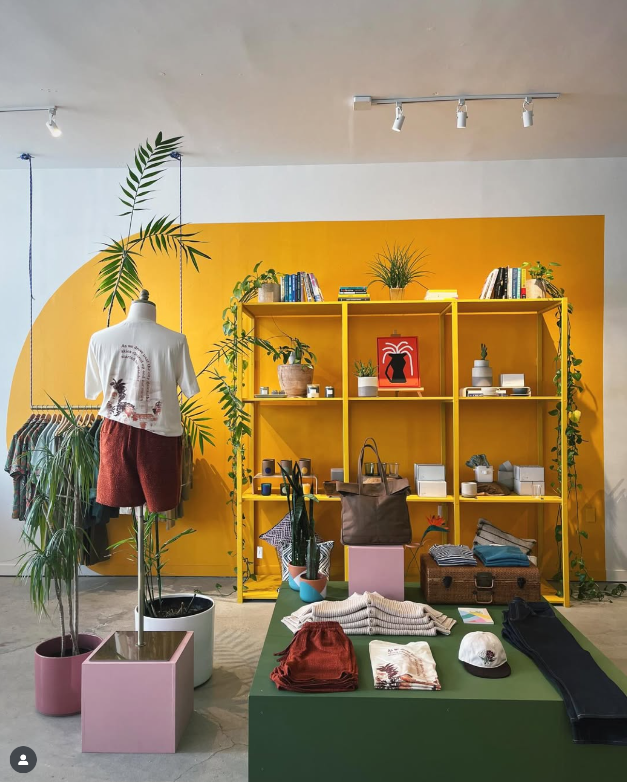 Screen Shot 2025-09-10 at 9.20.02 AM.png