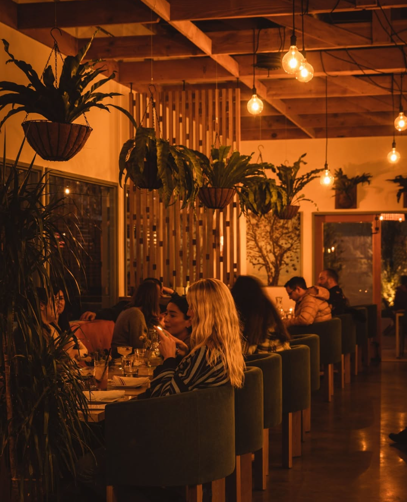 Screen Shot 2026-03-26 at 11.26.31 AM.png