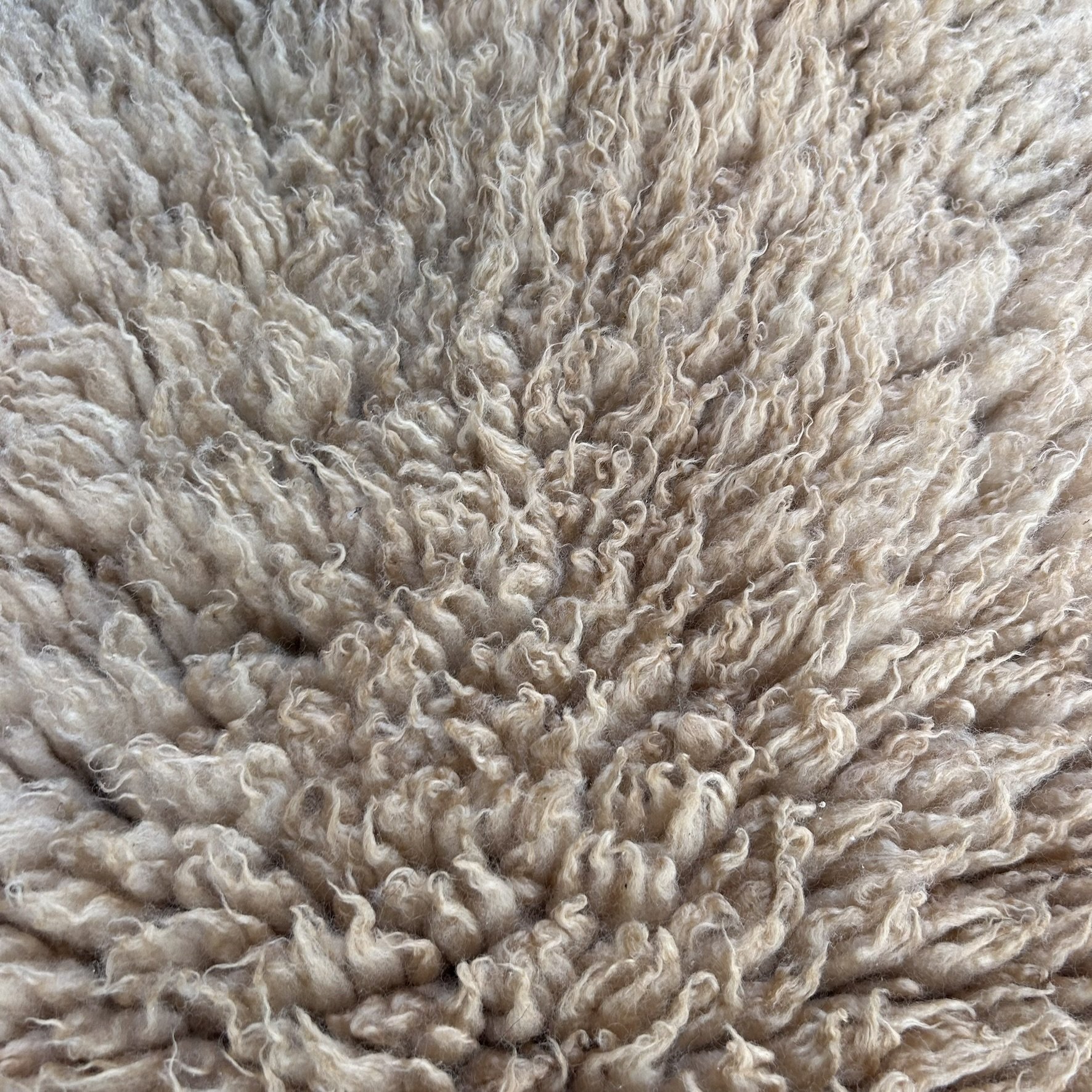C35B39EB-AD07-438F-B370-D0EA812A1009.jpeg