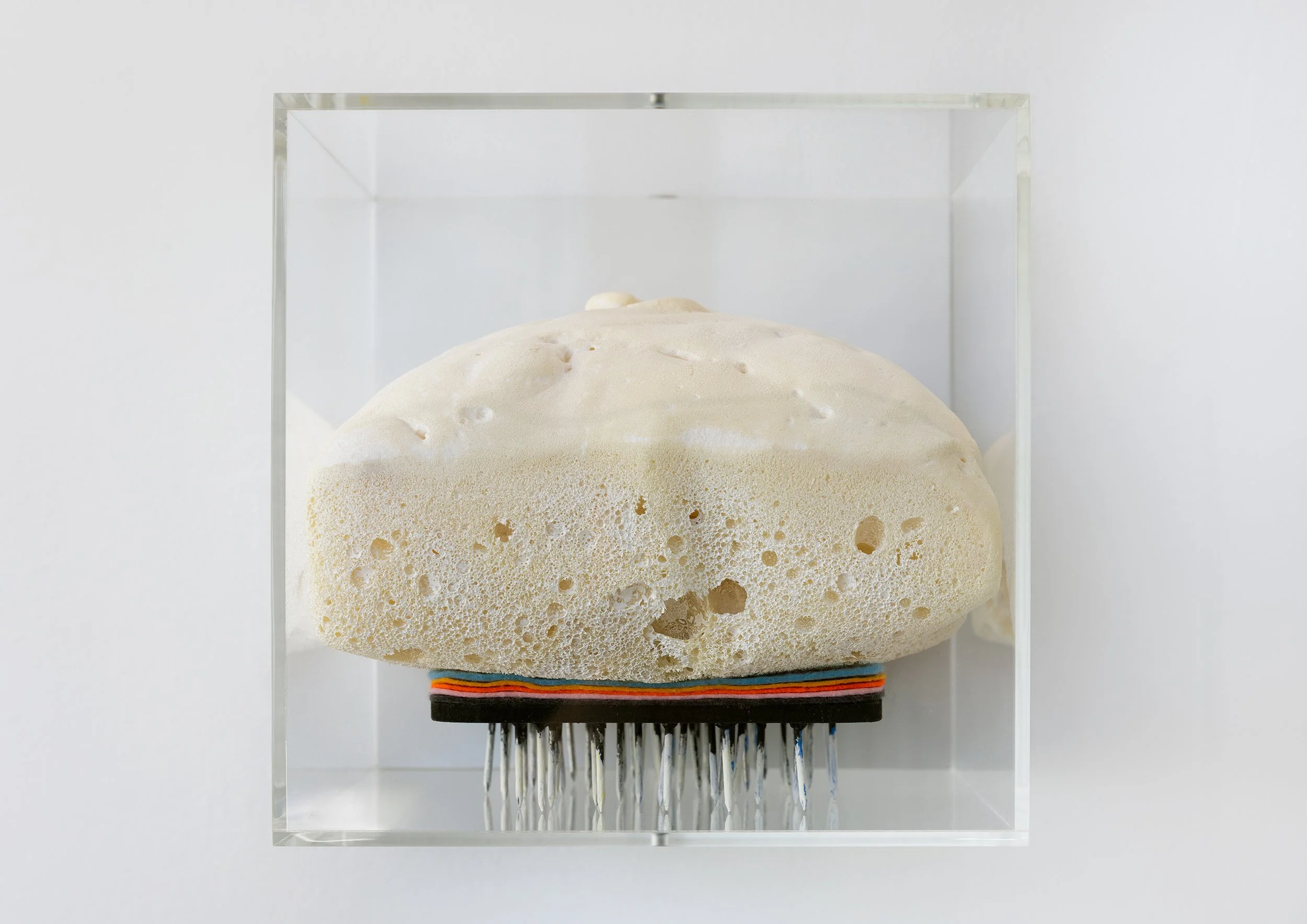 DegreeShow-0213-Urchin-LS.jpg