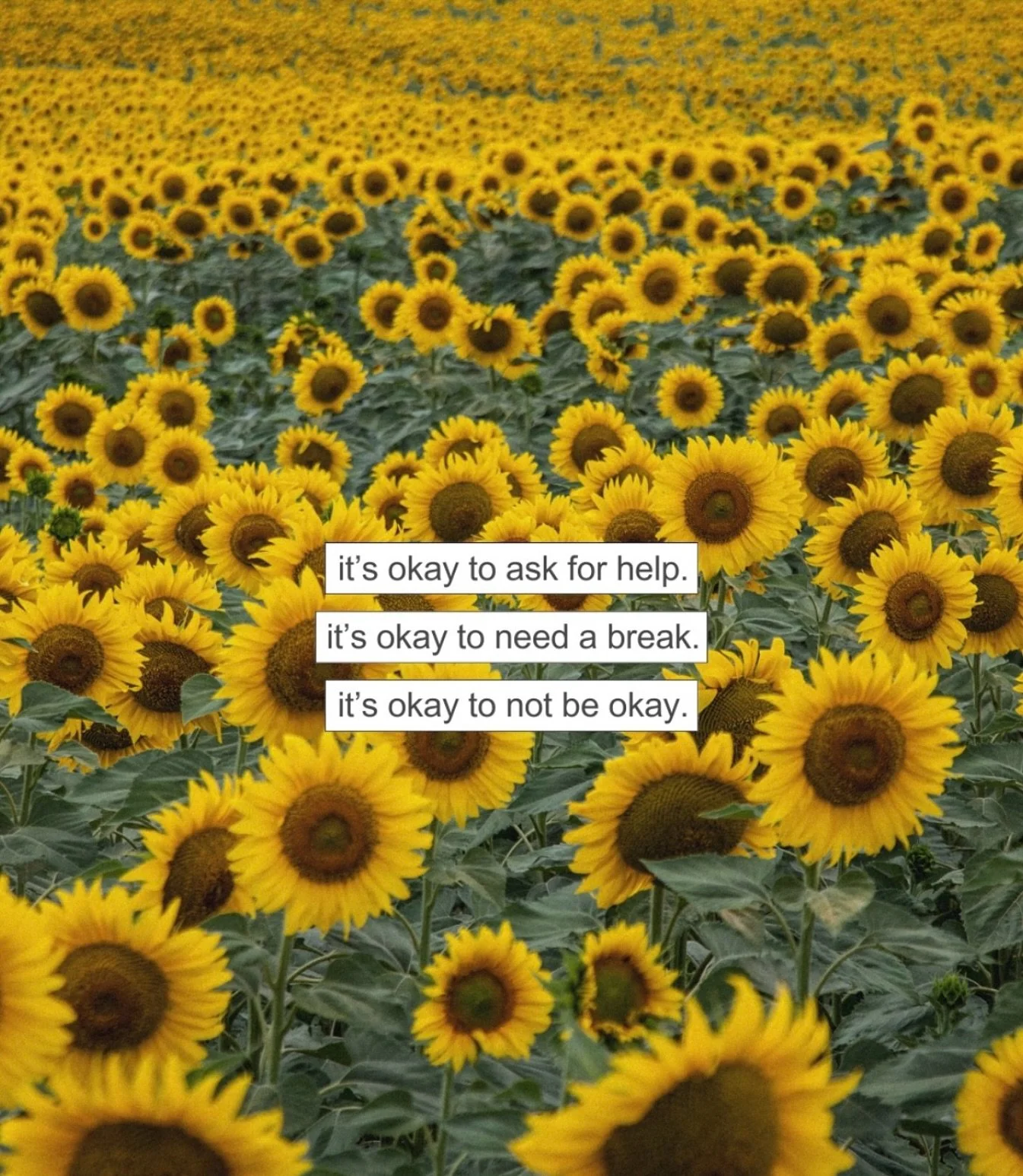 ✨ It&rsquo;s OK to not be OK. ✨

Life can feel heavy sometimes, and that doesn&rsquo;t mean you&rsquo;re broken&mdash;it just means you&rsquo;re human. When the weight feels too much, you don&rsquo;t have to carry it alone.

Online counselling makes 