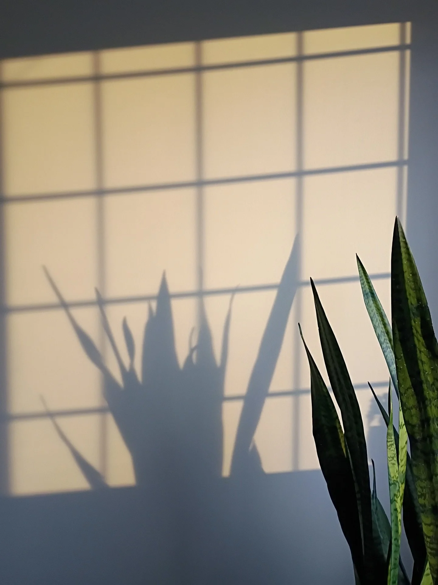 New year. Same you. And that&rsquo;s not a bad thing 🫶🏼

If the last year was heavy, messy, or just plain exhausting, you don&rsquo;t need to pretend that it wasn&rsquo;t. So many people have shared that 2025 was a really hard year.

You survived i