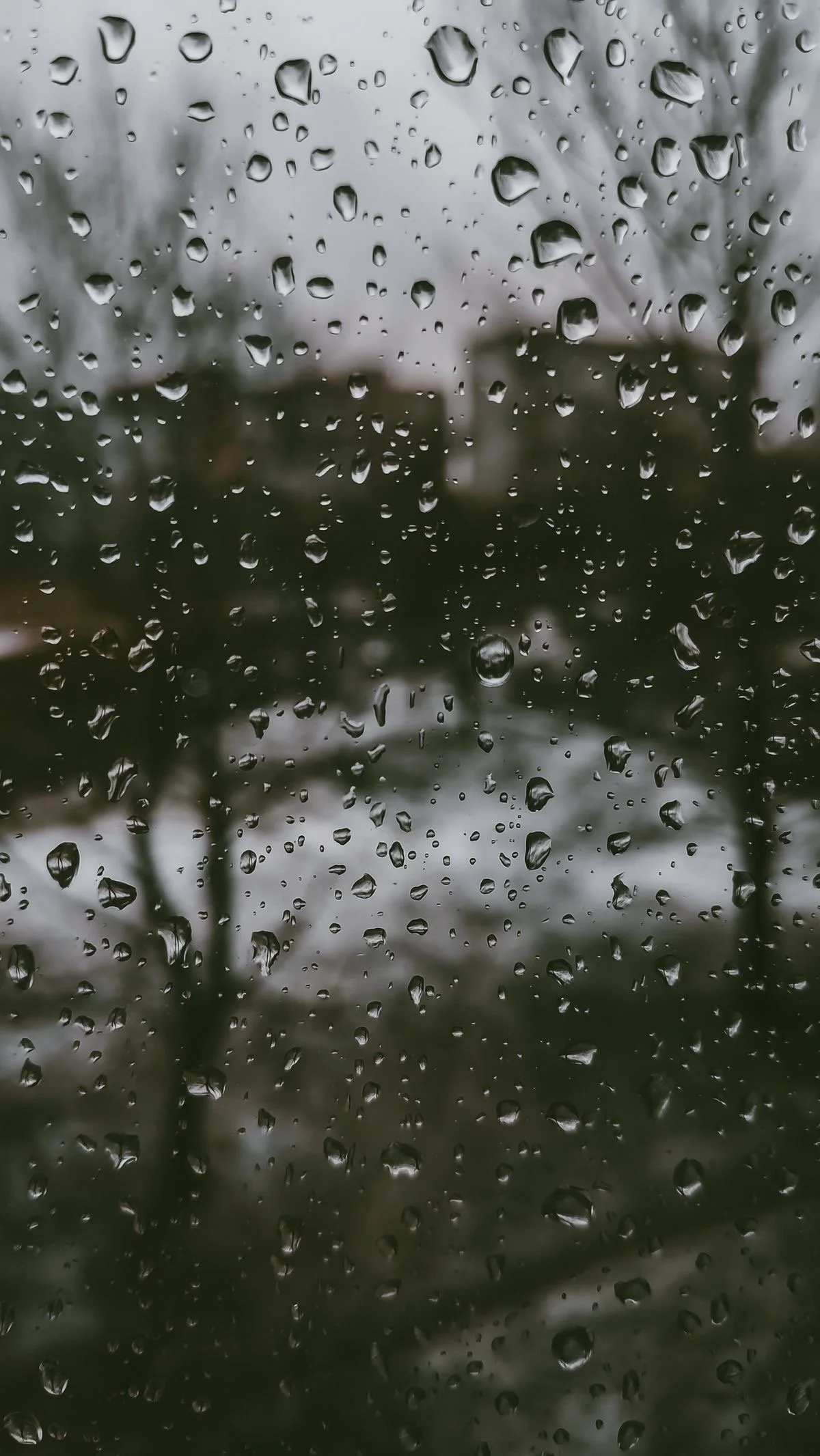 Anxiety Counselling in Abbotsford: How to Find the Right Support and Start Feeling Better