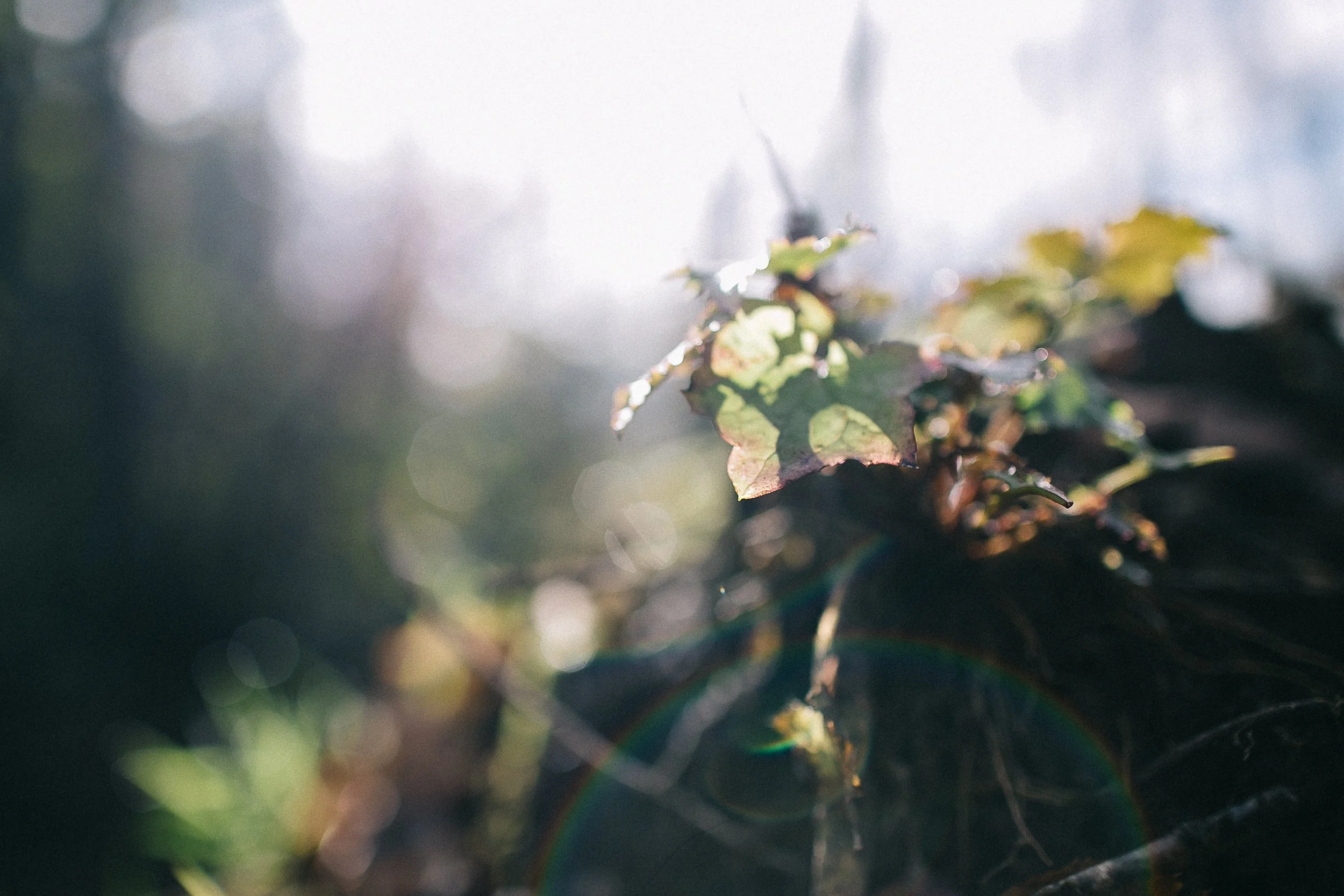 How Can EMDR Therapy Help? 