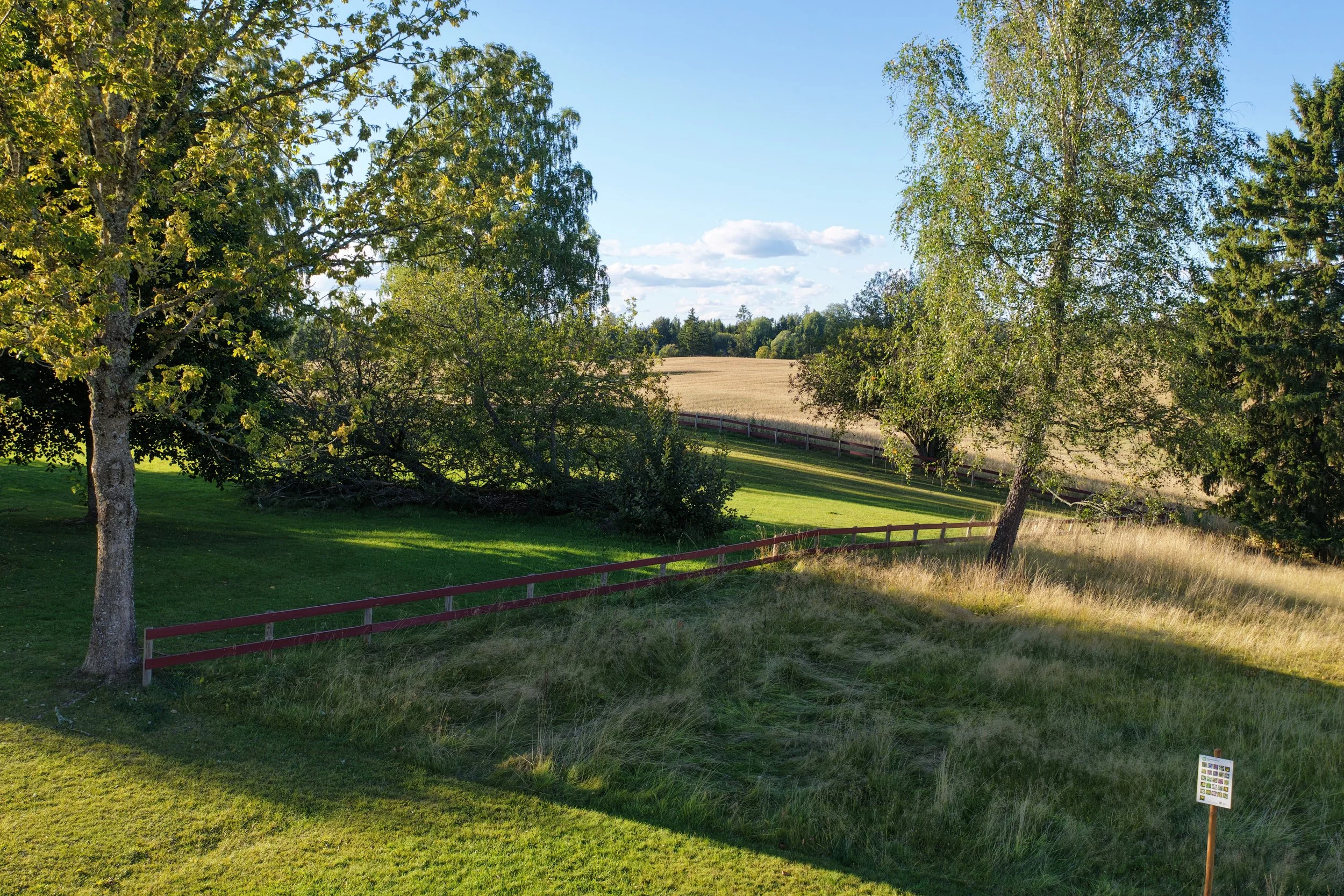 Dronebilde Landbruk, Skogbruk