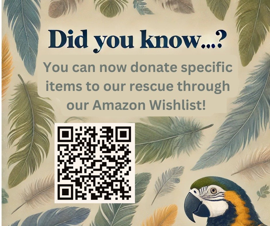 Did you know you can now donate specific items directly to our rescue? Our Amazon wishlist is now live! 

https://www.amazon.com/hz/wishlist/ls/2OFMWGUMM4JOR?ref_=wl_share