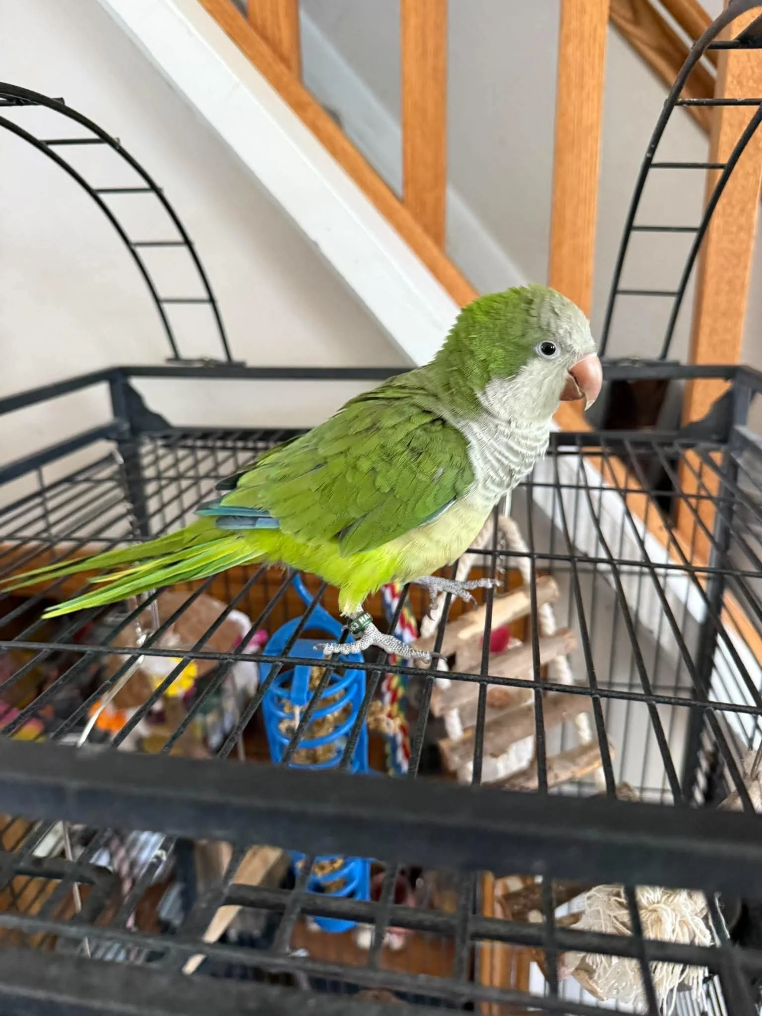 Howard
