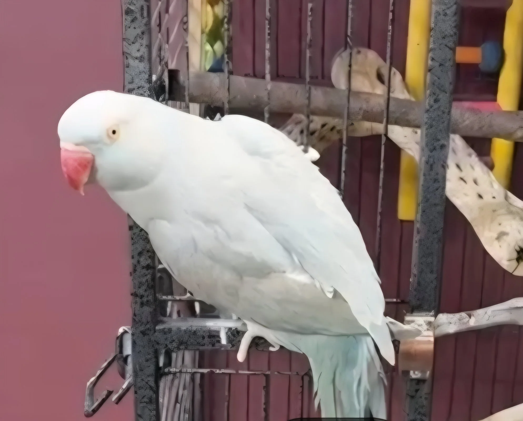 Screenshot_20260101_125249_Messages (1).jpg