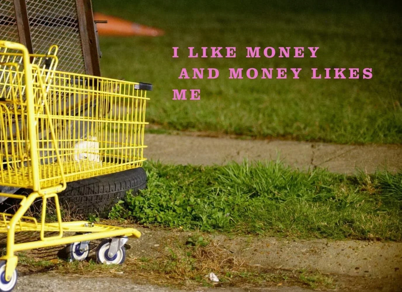 Book 9 is now available. A feral riff on Joseph Beuys&rsquo; infamous performance &ldquo;I like America and America likes me&rdquo;, here is I LIKE MONEY AND MONEY LIKES ME.