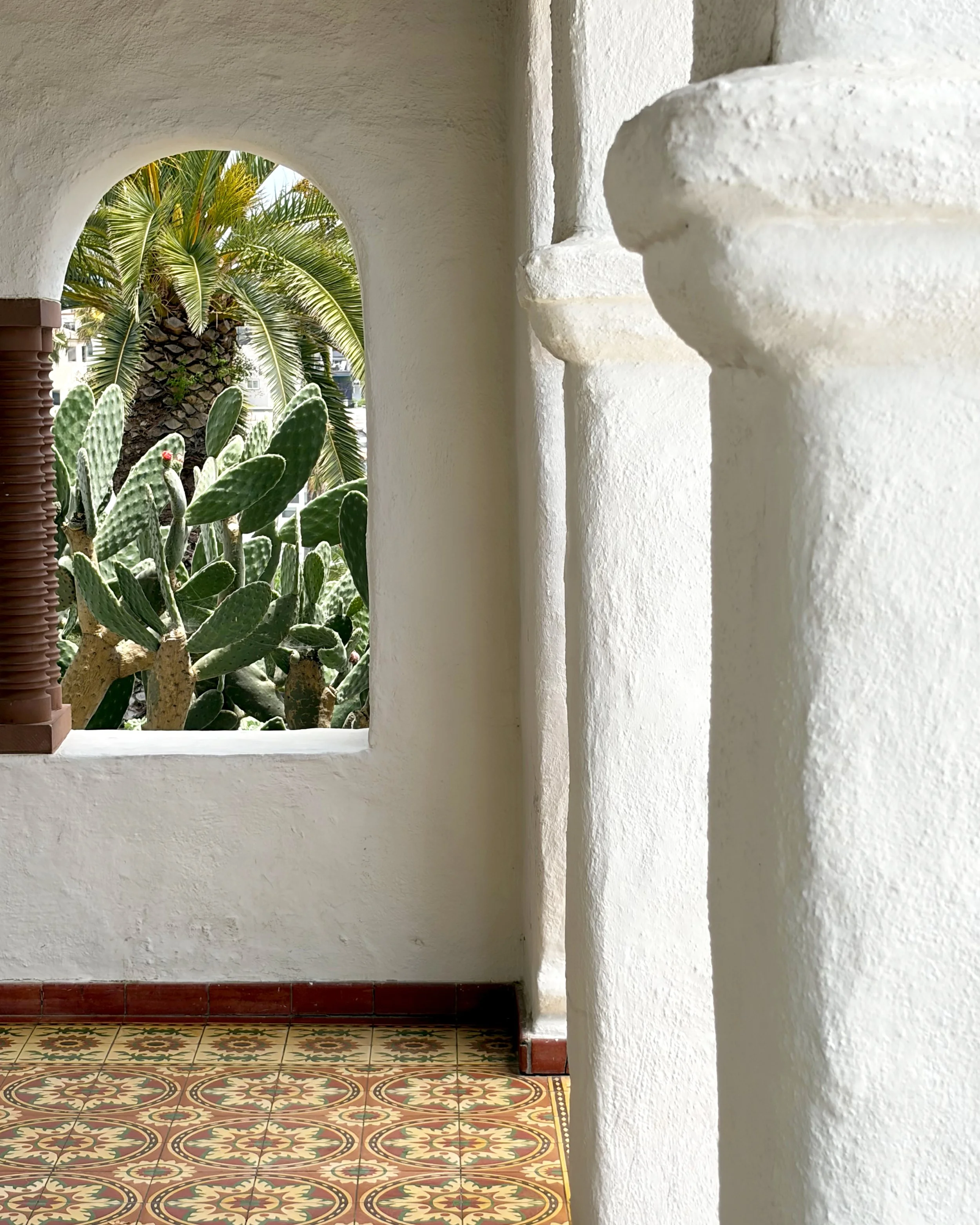 Photo of columns and cactus at Casa Romantica