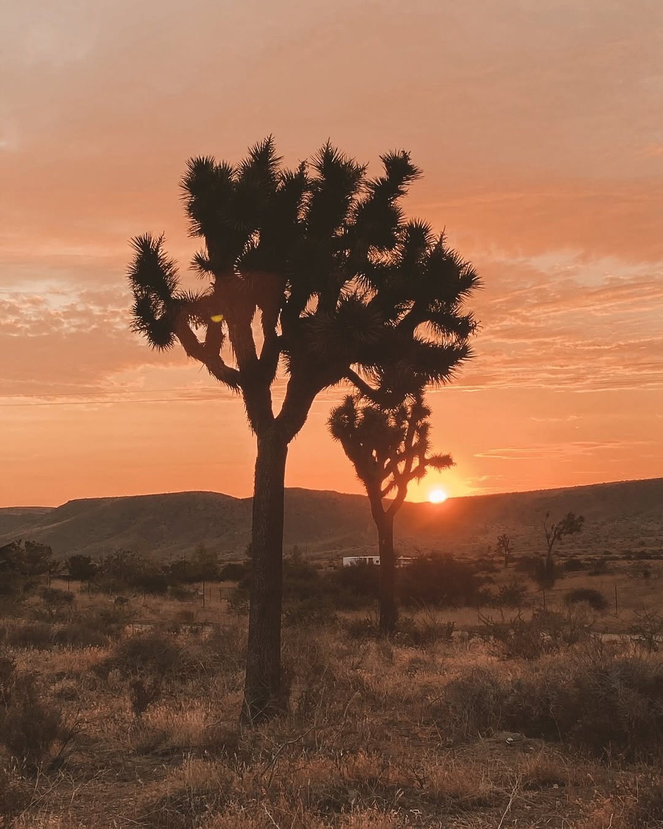 Pioneertown golden hour ☀️ photo @katbenzova_rockphoto
