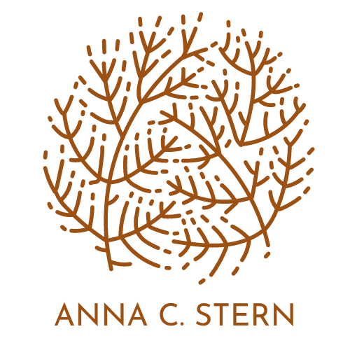 Anna C. Stern, LICSW