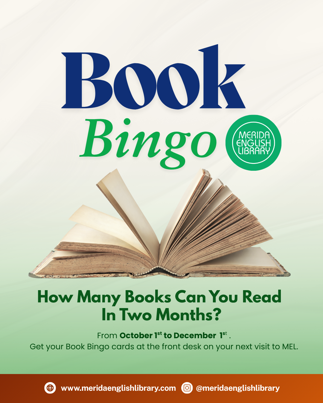 Book Bingo for Adults: Are You Up for the Challenge?