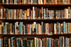 Catalog — Mérida English Library