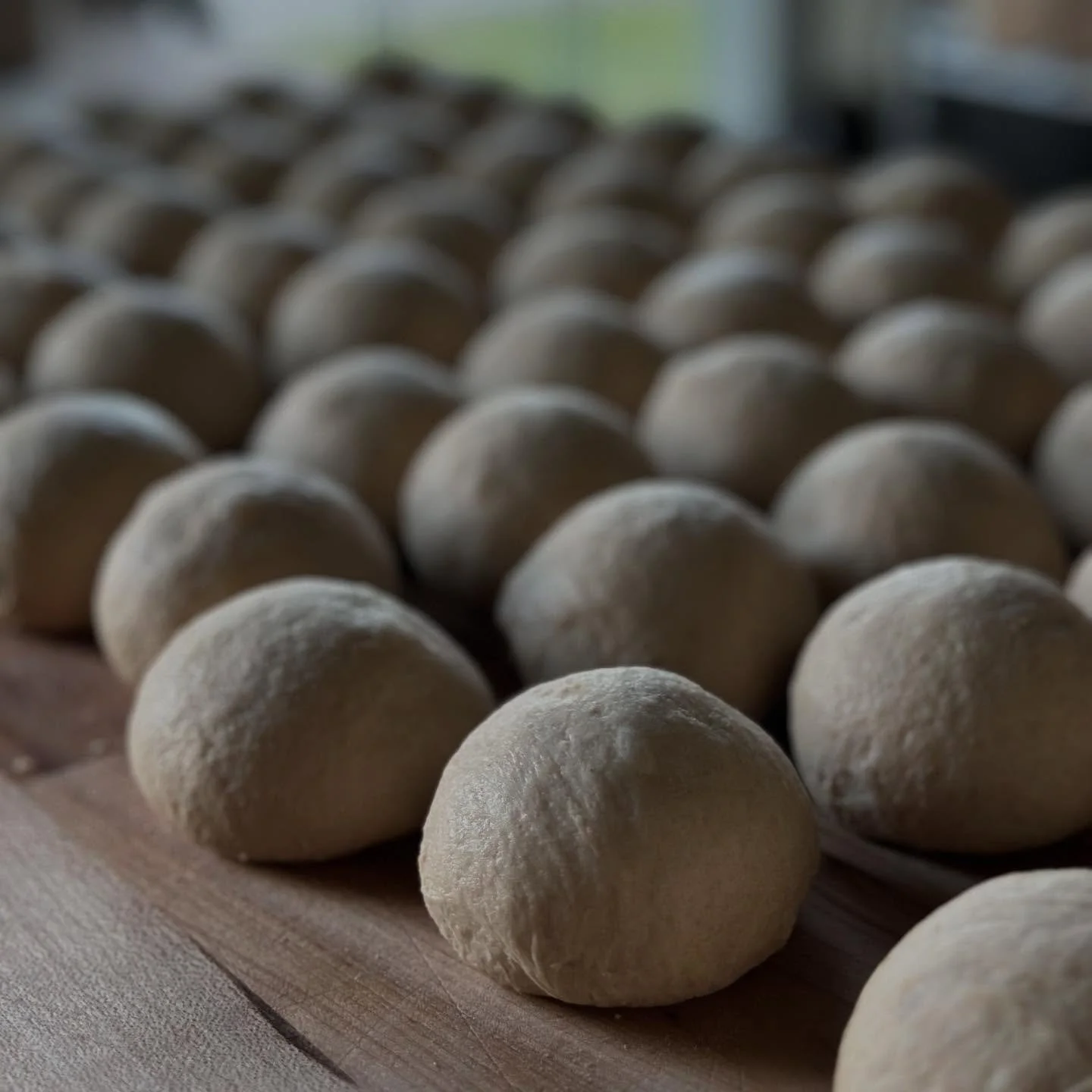 Rise 🍞 and Shine ☀️
#bakeday #englishmuffins #stonemilledwheat #madeinvermont #madeinvt #bakedinvt #bakedinvermont #birchhillenglishmuffins