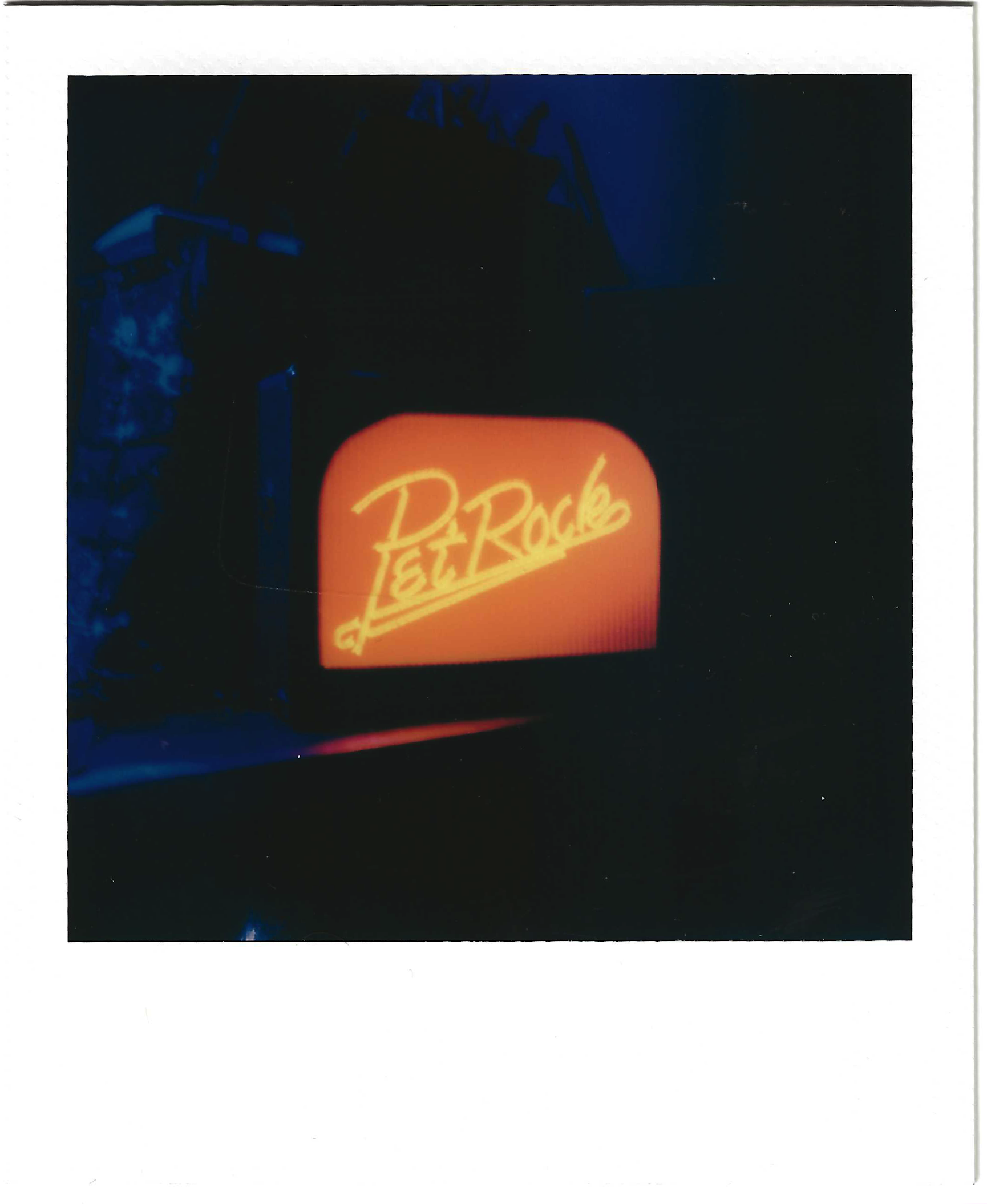 petrockpolaroid.png