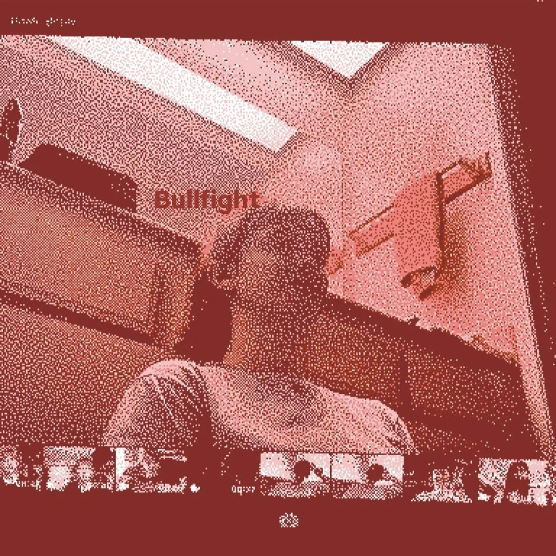 Bullfight