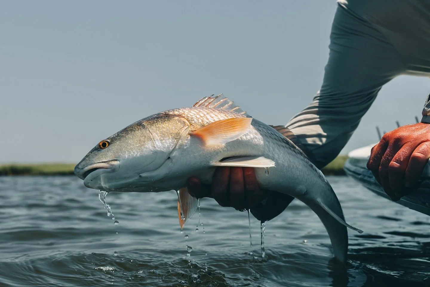 Not always easy but always fun.
&bull;
&bull;
🎣: @wilmingtonfishingexpeditions 
&bull;
&bull;
#flyfishing #redfishonfly