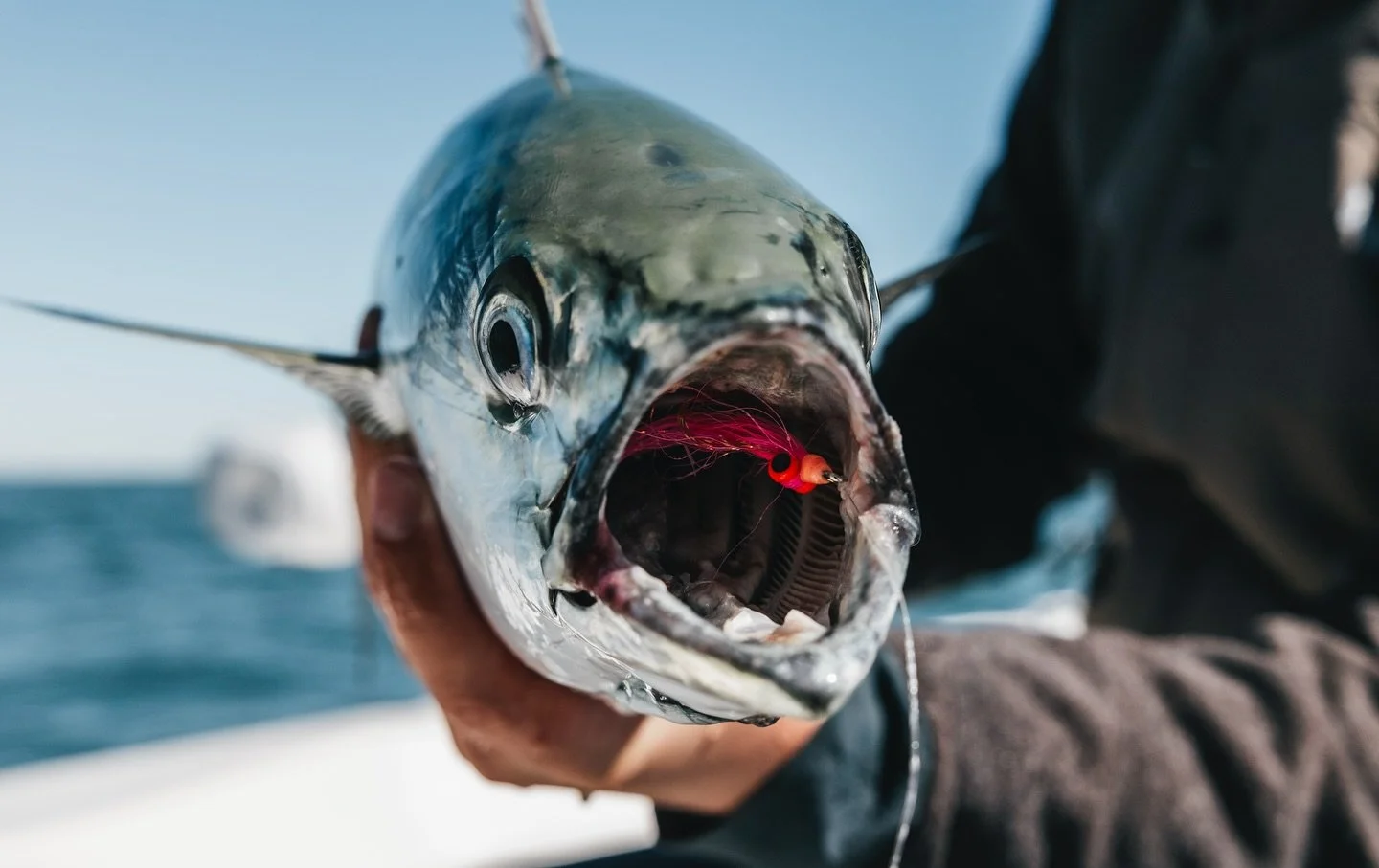 The change of pace is welcomed 
&bull;
&bull;
#albies