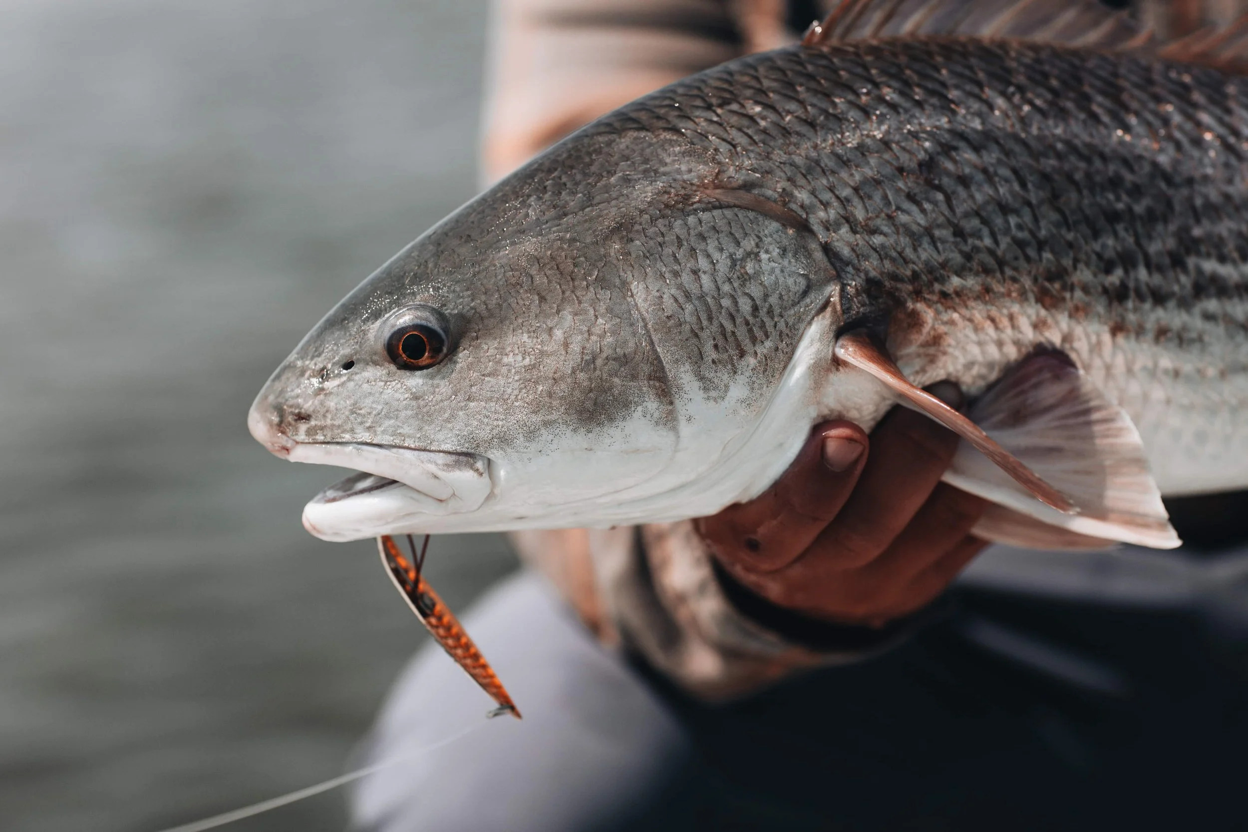 Top 10 Inshore Fishing Lures I Keep on the Boat in Southeastern North Carolina