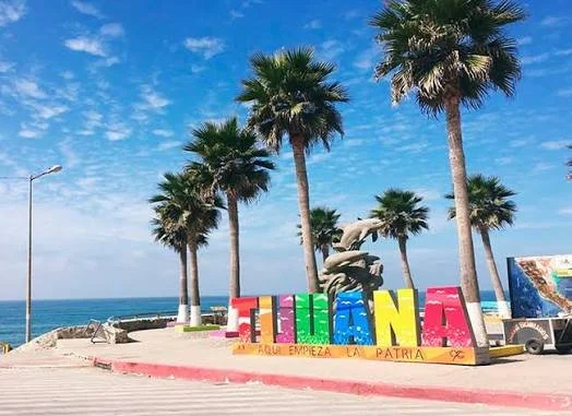 Why Tijuana 