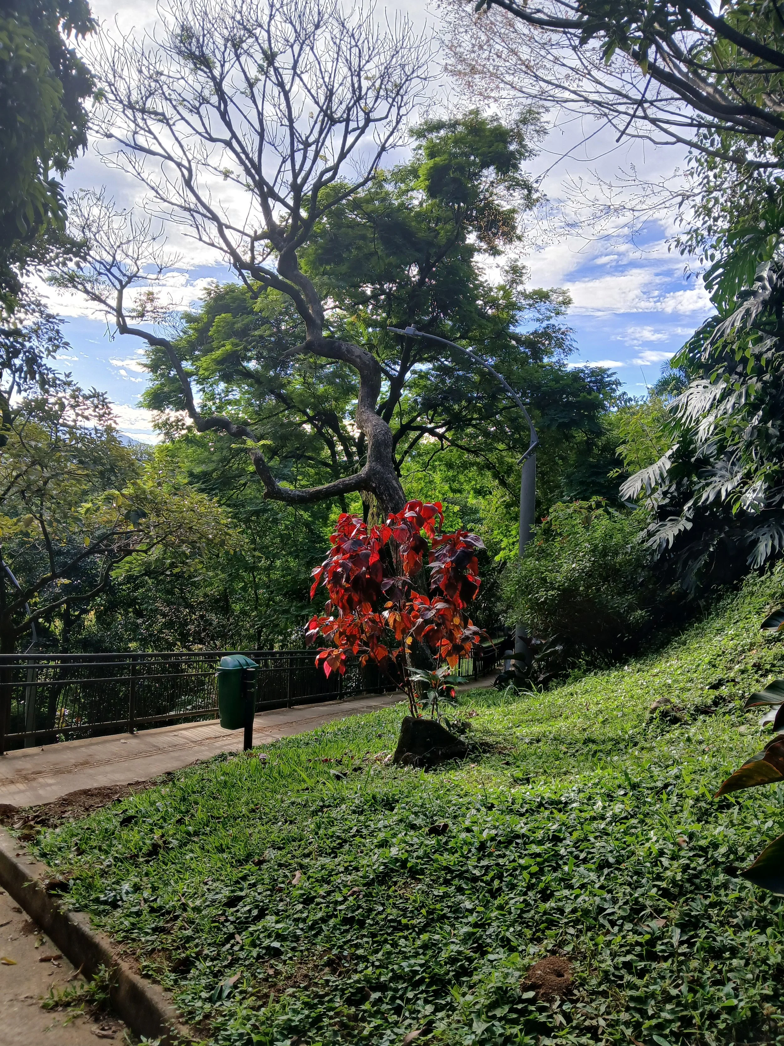 The Hillside 