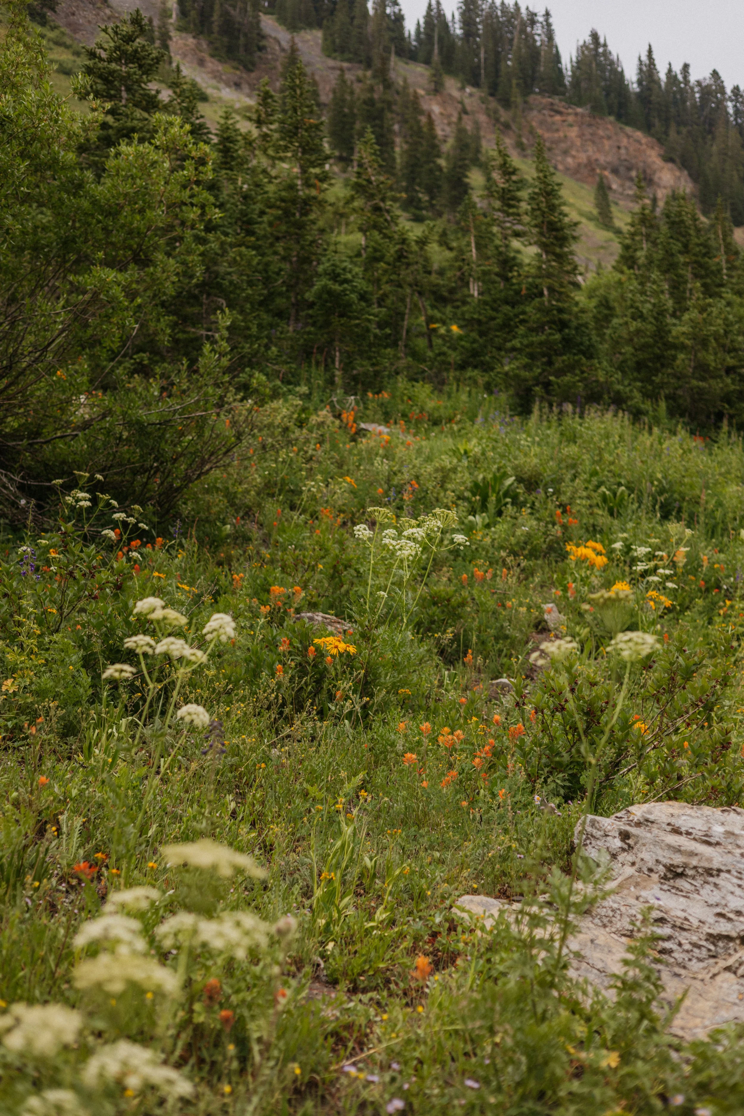 Zane & Caitlyn | Reverie Photography | Crested Butte Colorado | Wedding Photographers | Engagement Session-43.jpg