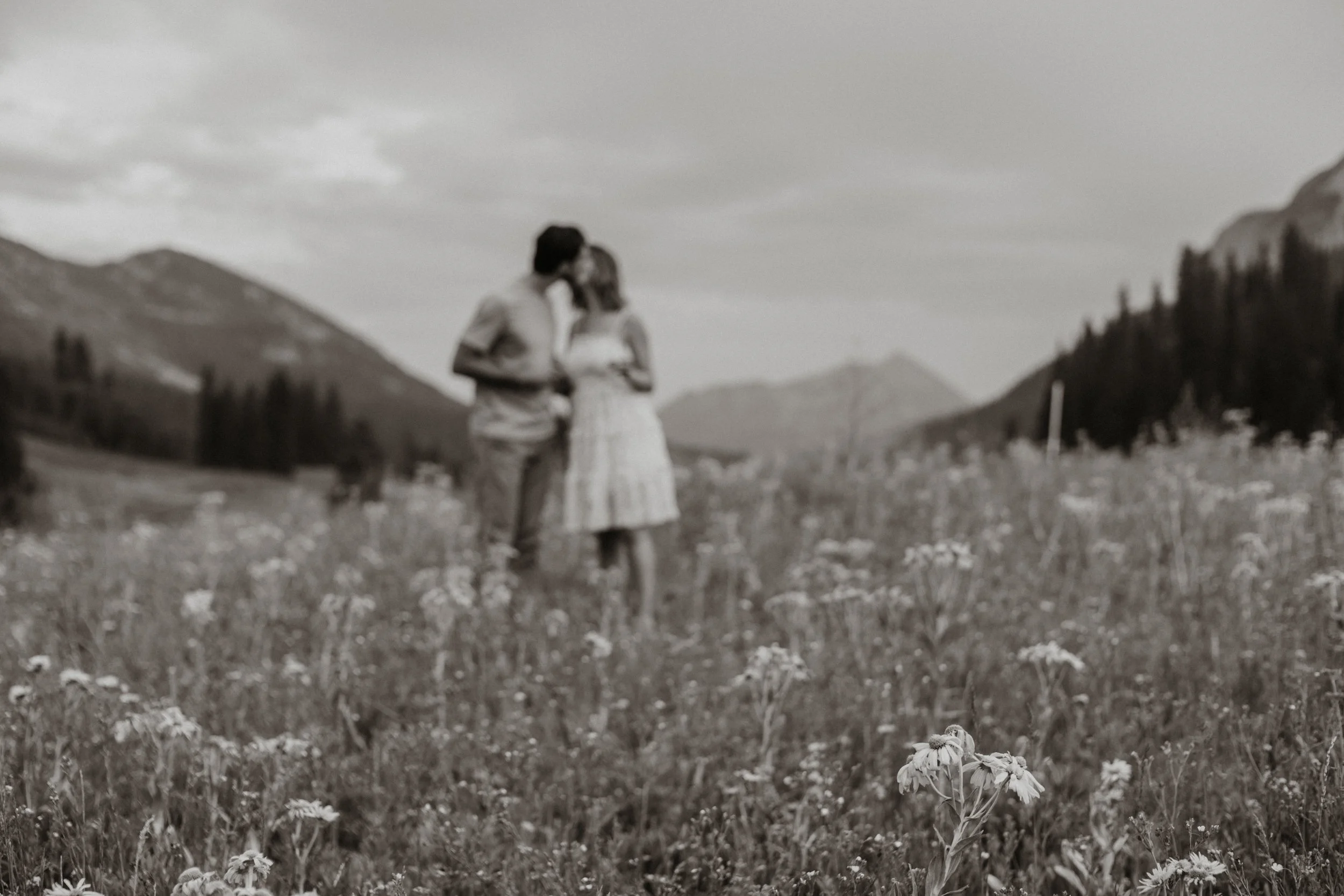 Zane & Caitlyn | Reverie Photography | Crested Butte Colorado | Wedding Photographers | Engagement Session-59.jpg