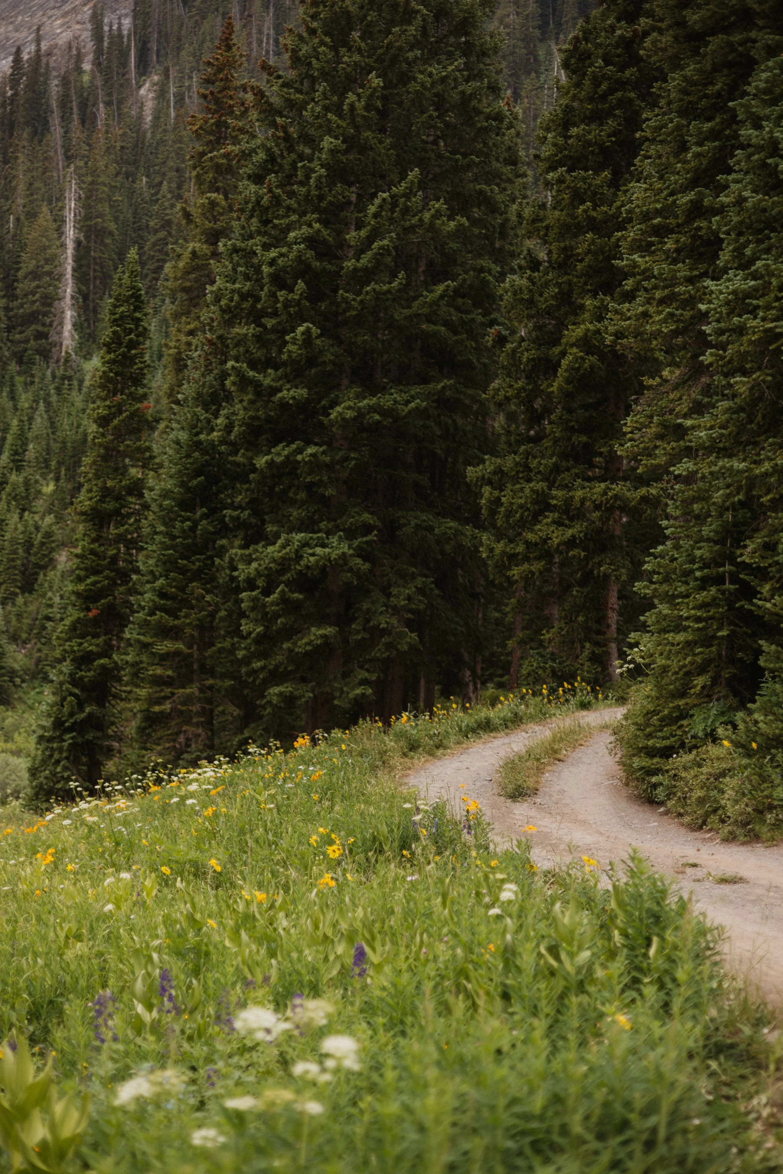 Zane & Caitlyn | Reverie Photography | Crested Butte Colorado | Wedding Photographers | Engagement Session-27.jpg