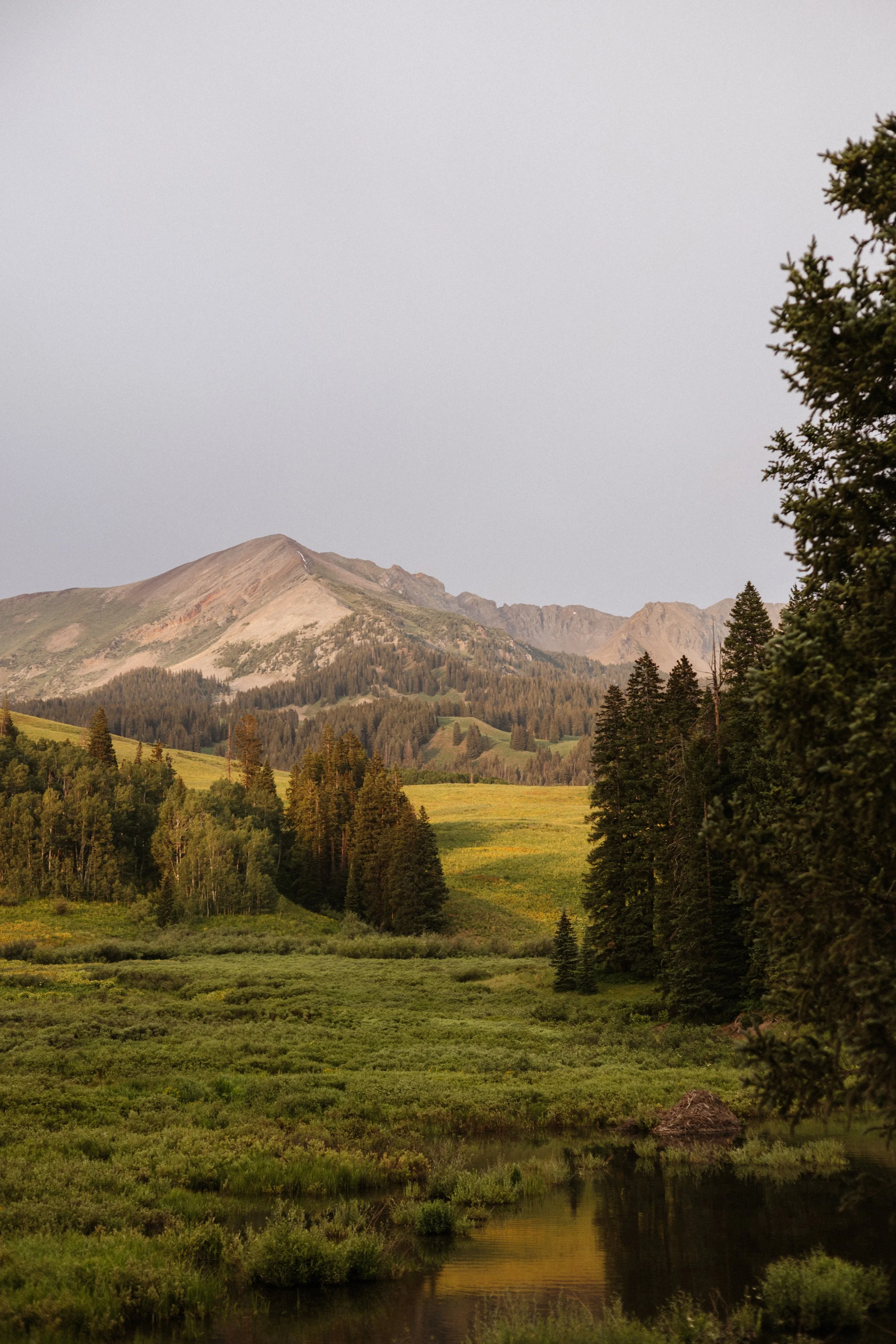 Zane & Caitlyn | Reverie Photography | Crested Butte Colorado | Wedding Photographers | Engagement Session-64.jpg