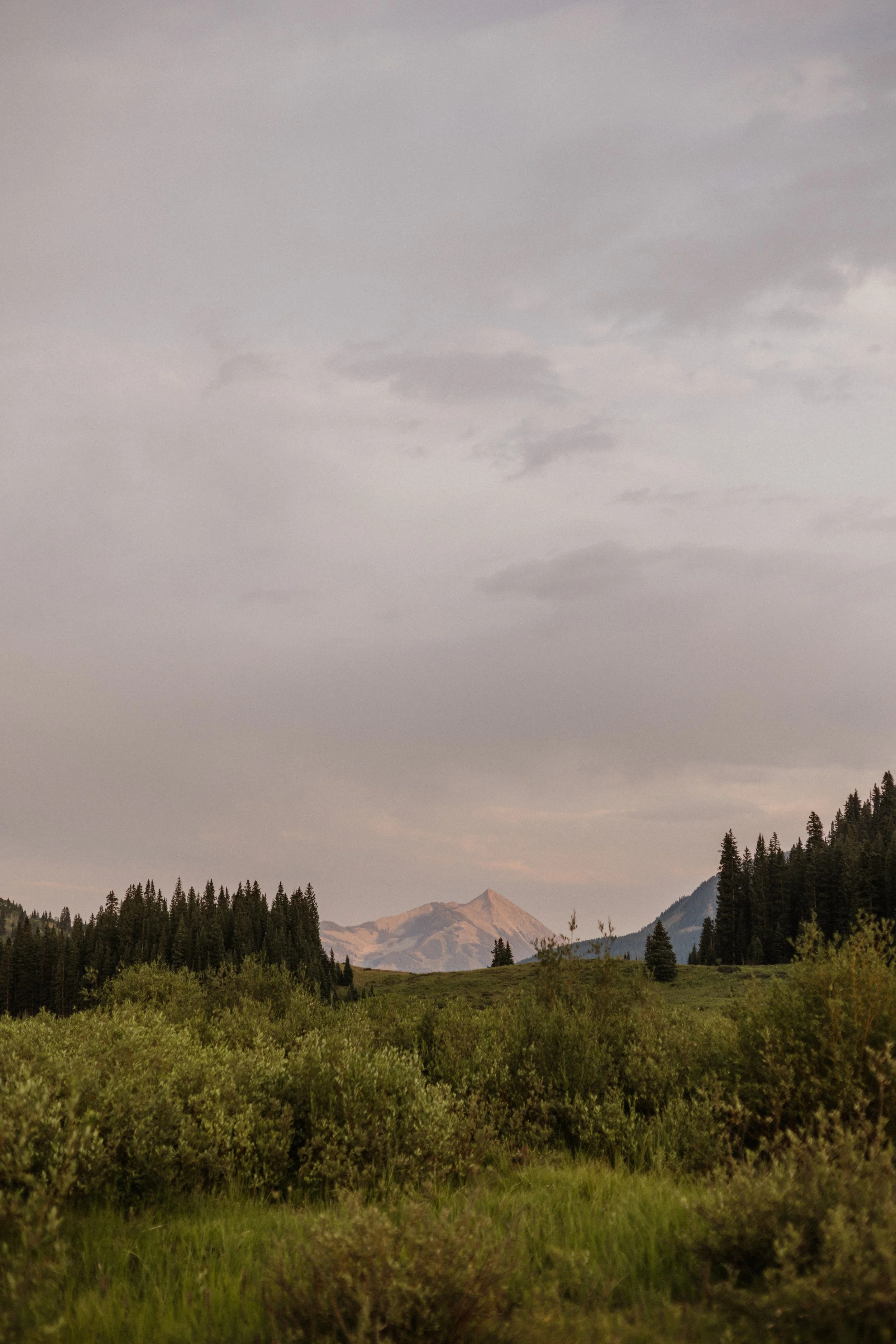Zane & Caitlyn | Reverie Photography | Crested Butte Colorado | Wedding Photographers | Engagement Session-70.jpg