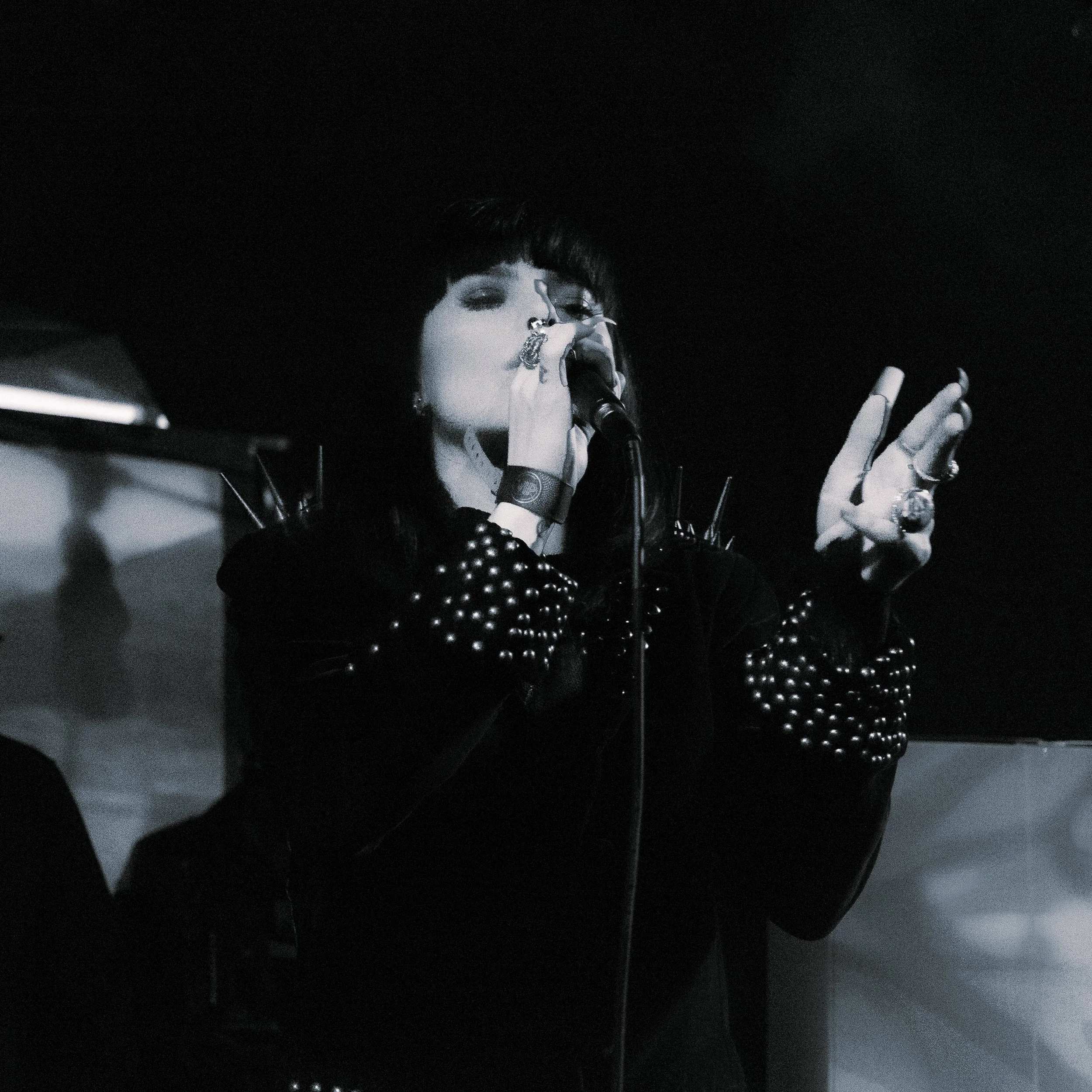 B97A7981-2.jpg