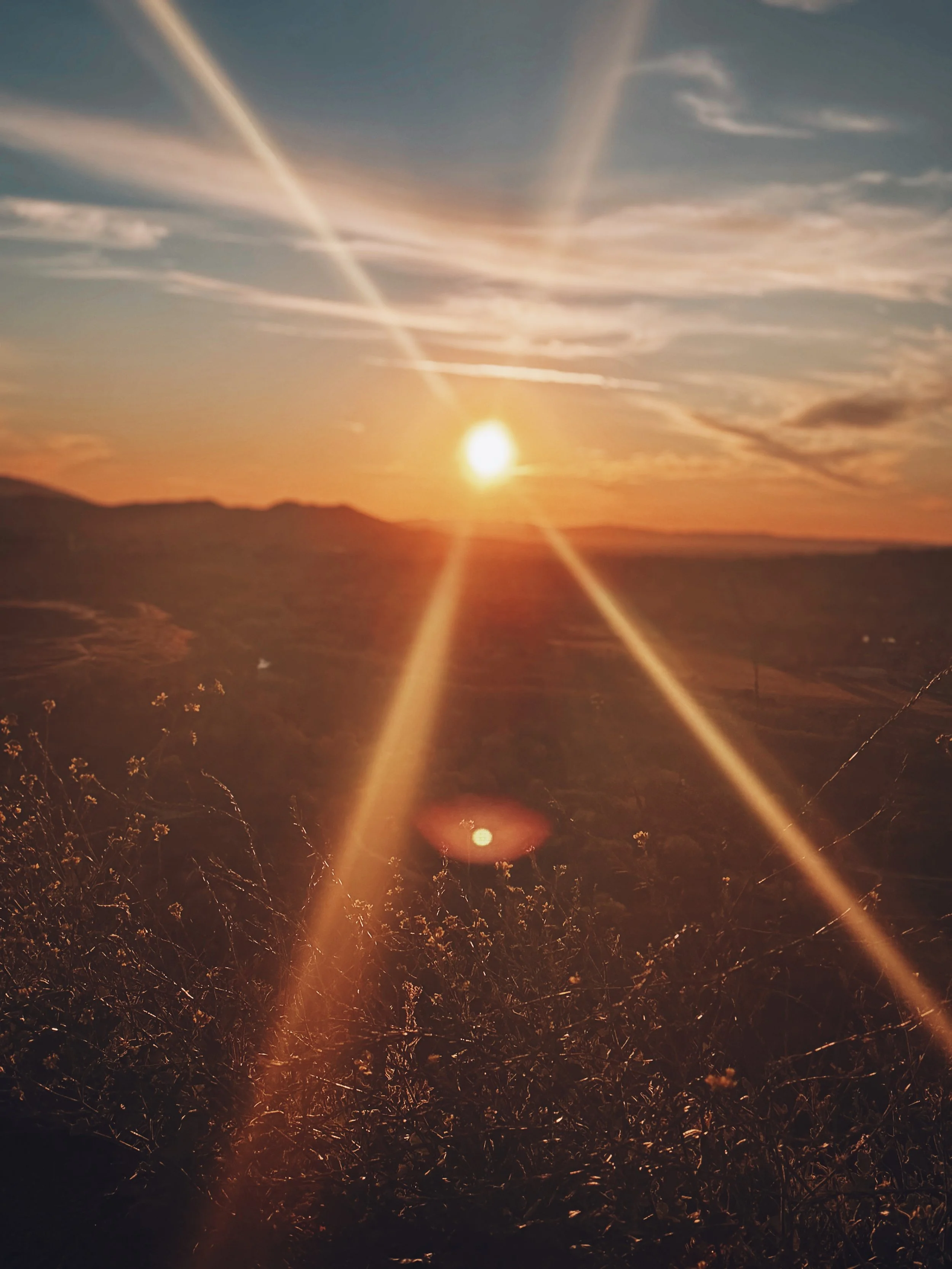 B1B08062-D4E3-42AA-A5A8-EC3A3A013925 2.JPG