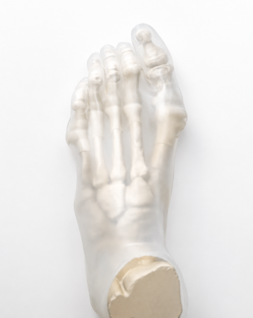 Cadara Foot