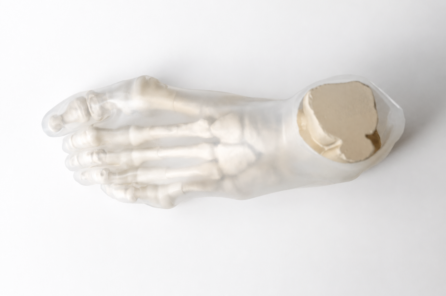 Cadara Foot1.png