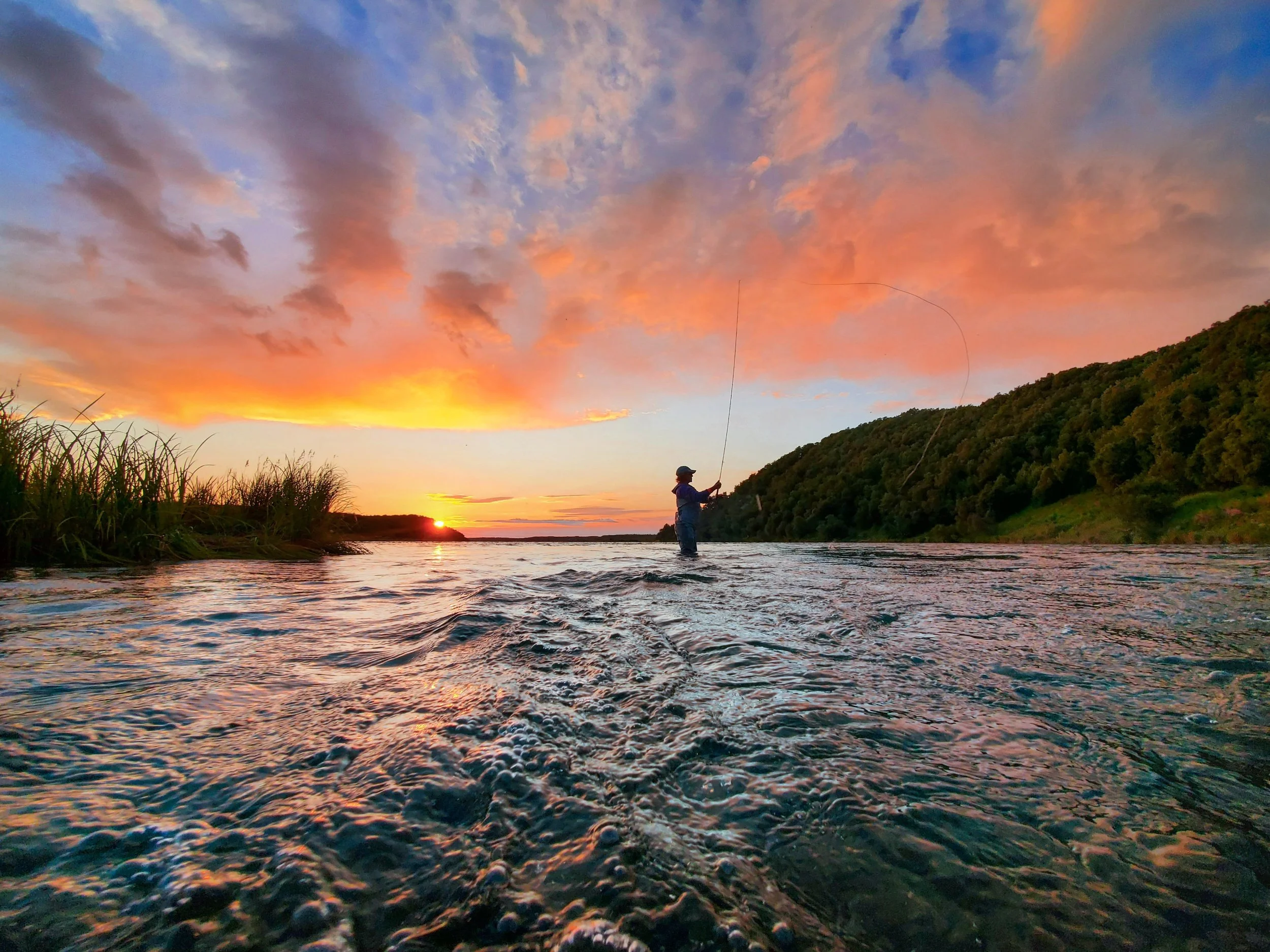 The Ultimate Guide to King Salmon Alaska Tips from a King Salmon Local