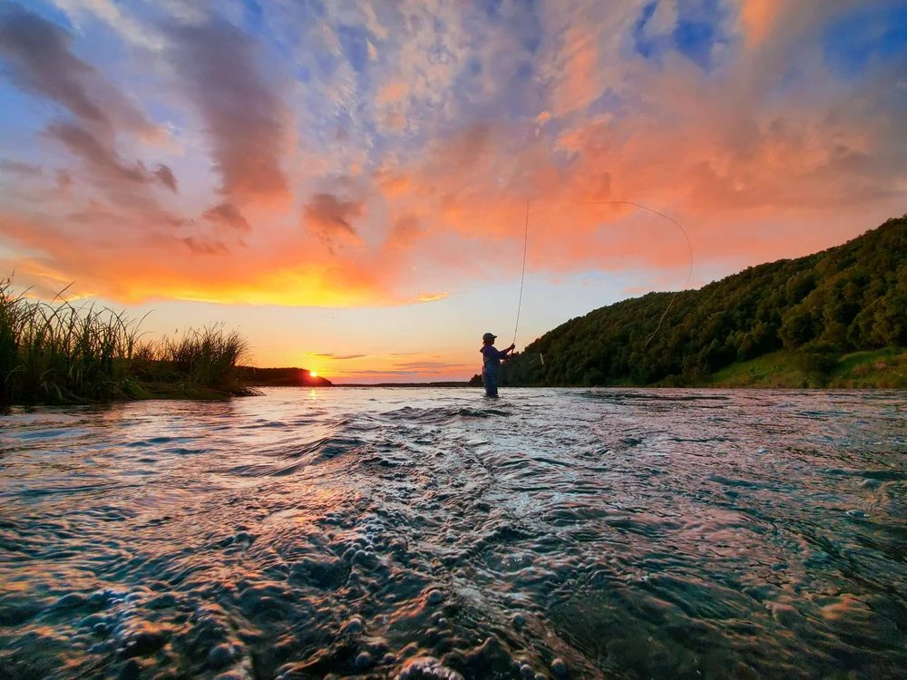 The Ultimate Guide to King Salmon Alaska Tips from a King Salmon Local