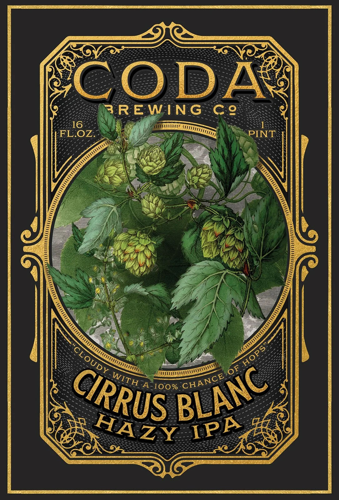 CODA_CIRRUS_BLANC.jpg