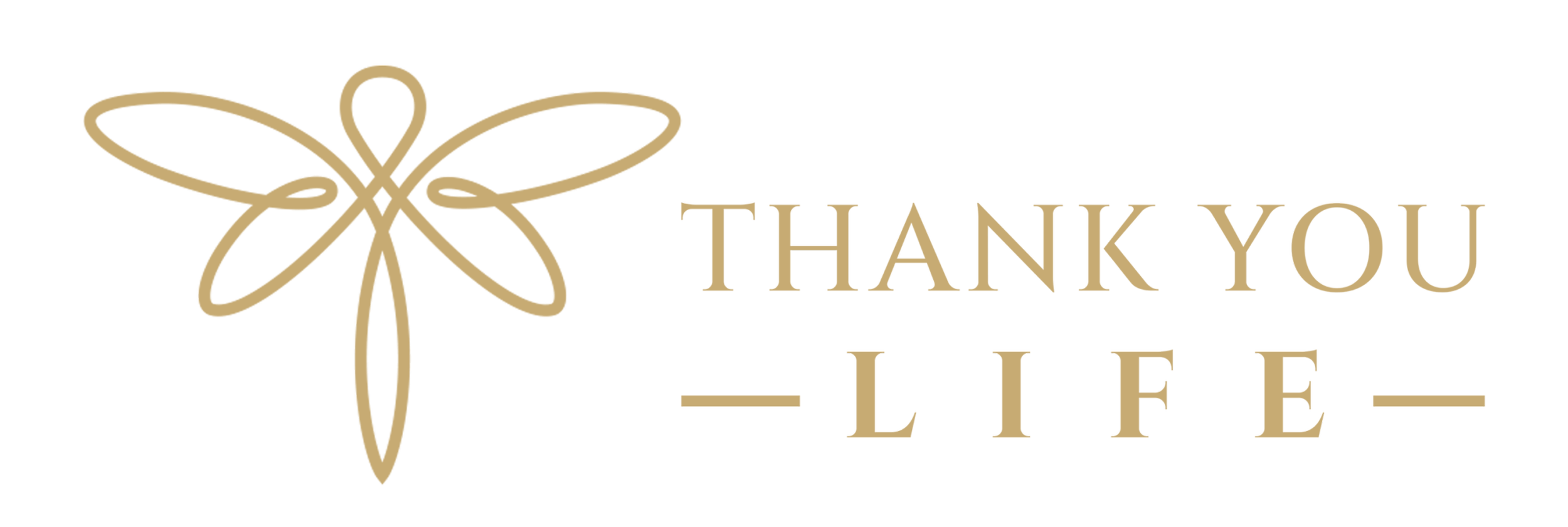 TYL-logo-horizontal-COMPRESSED.png