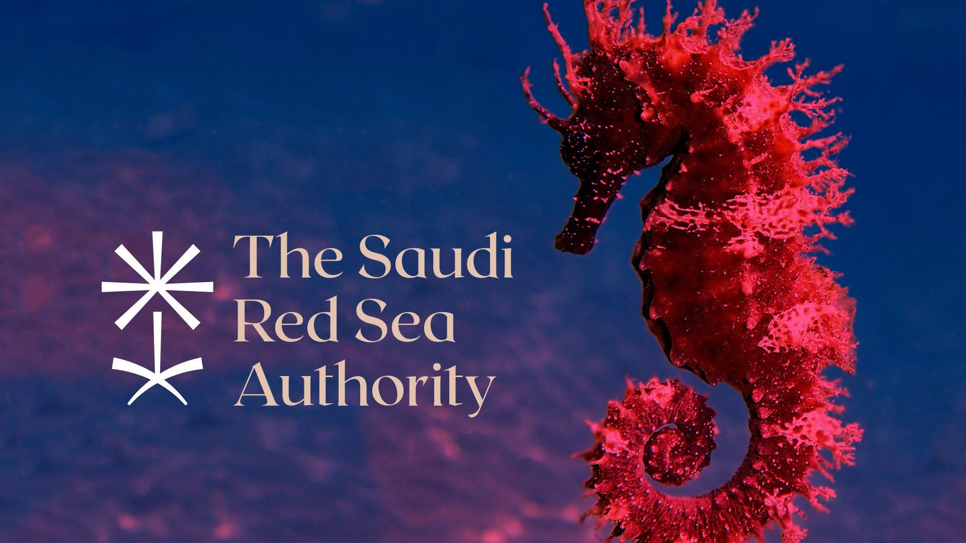 RedSea-9.jpg