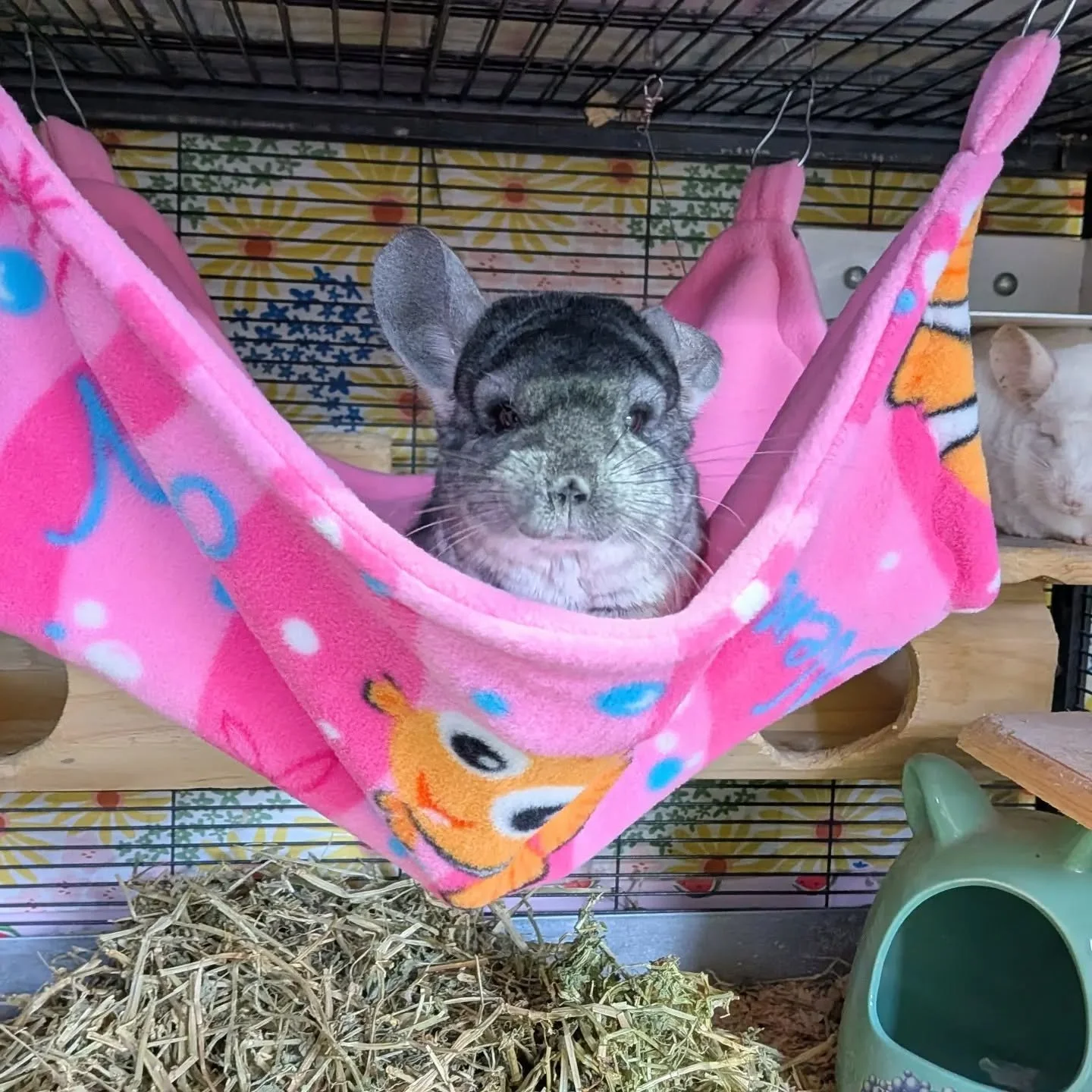 Nemo's 20" Fleece Hammock - Finding Nemo