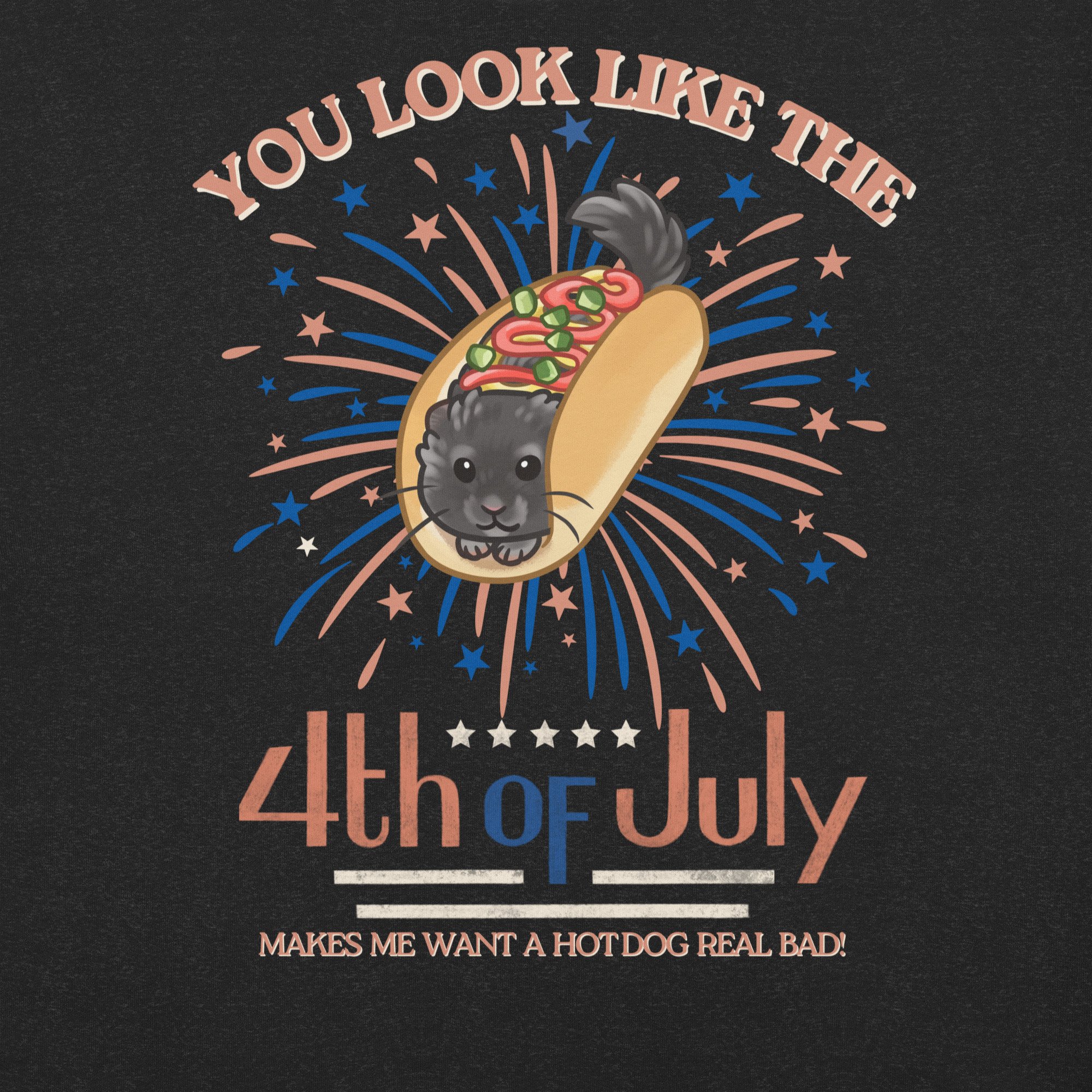 4th of July Hot Dog Faded Unisex t-shirt BLACK
