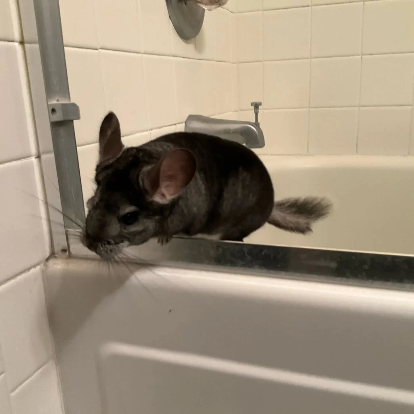 628557533_18562328749045412_706907214151654724_n.jfif