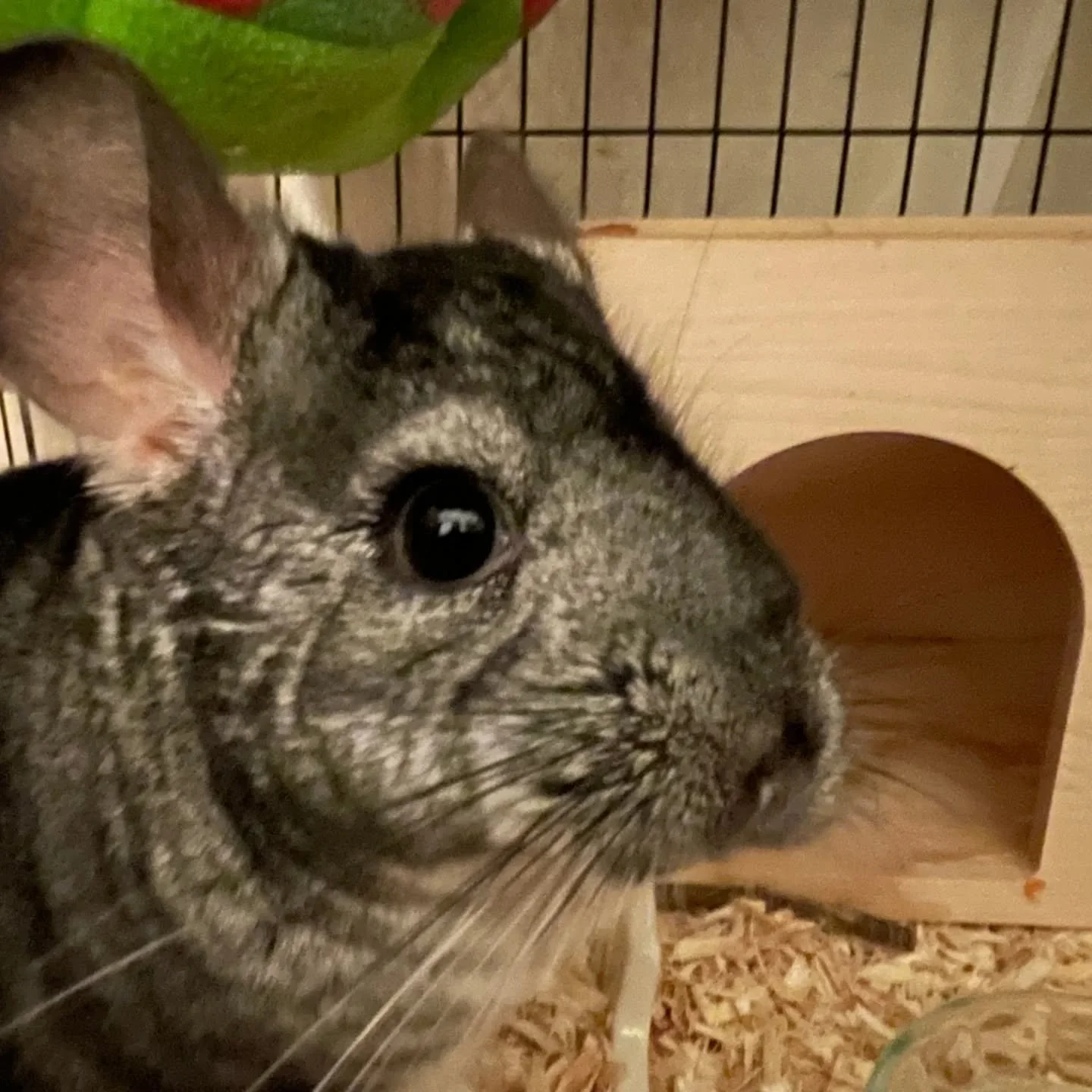 631545724_18563558989045412_7286886067378485564_n.jfif