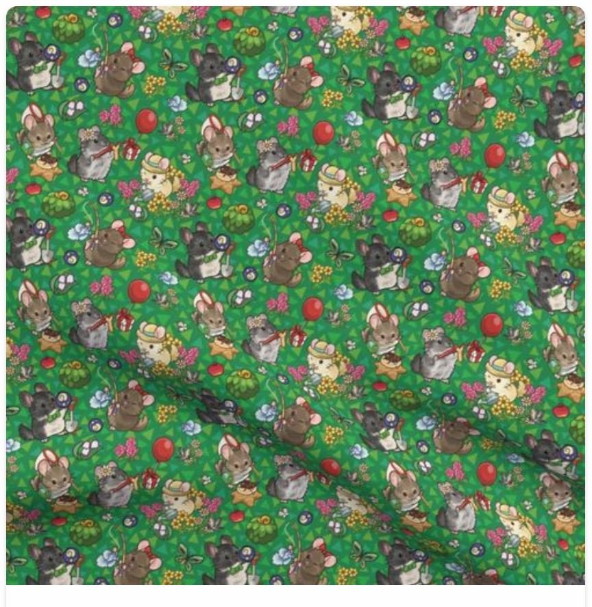 chinchilla crossing 5.JPG