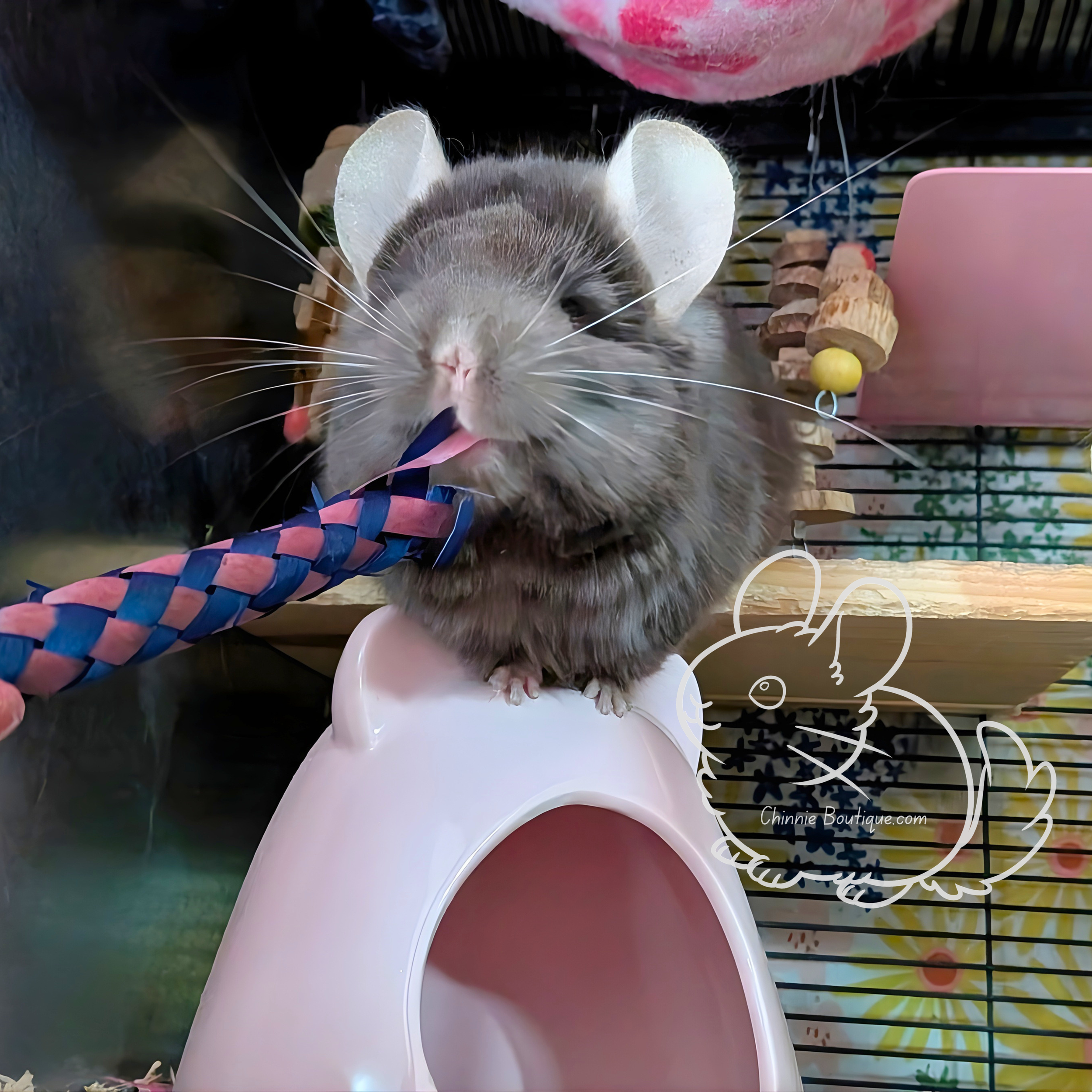 Extras restock temp (Facebook Post (Square)) (22).png