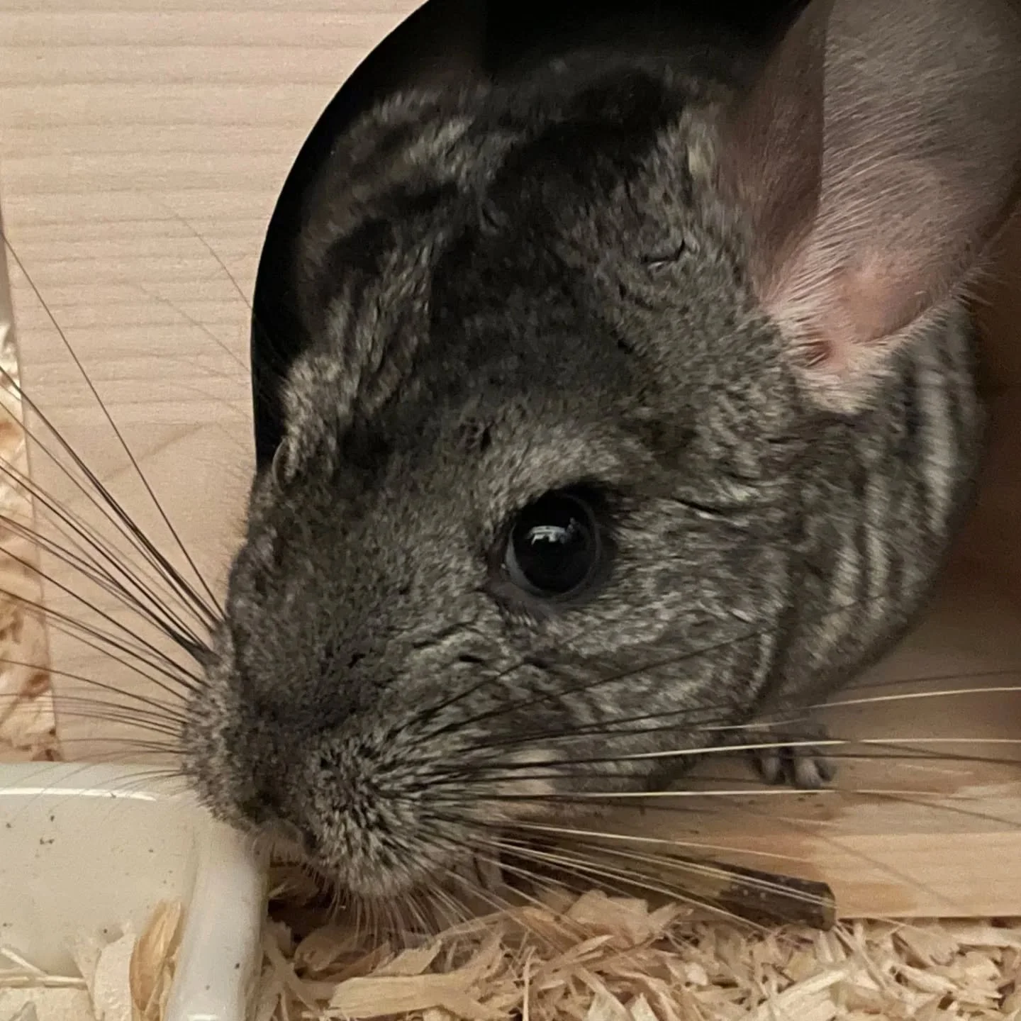 630116558_18563559007045412_6620369454414497526_n.jfif