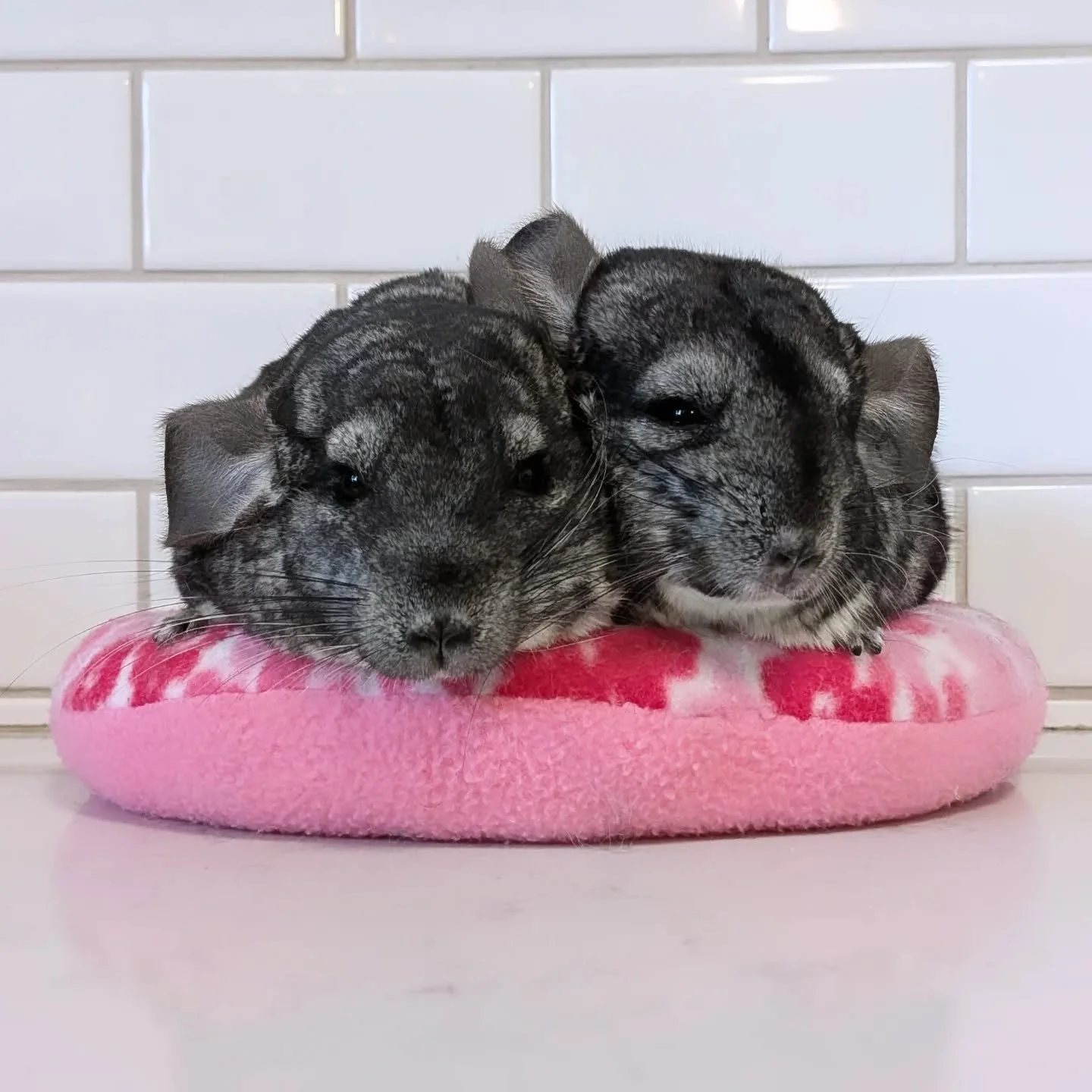 658118688_18578700994045412_5846611290296045351_n.jfif